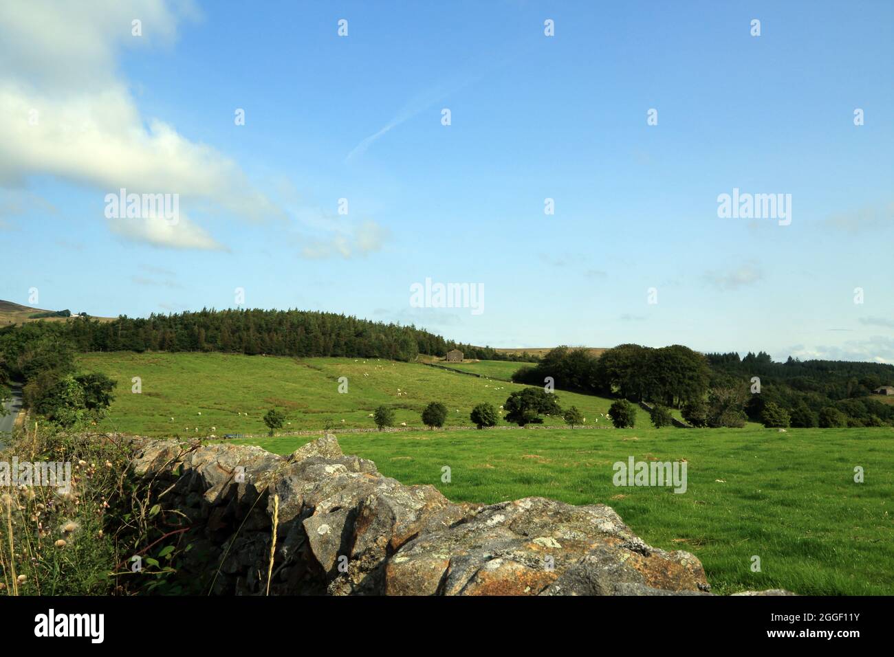 Trockensteinmauer mit Fjälls und Feldern zwischen Slaidburn (am Skaither) und Bentham im Forest of Bowland, Lancashire, England, Vereinigtes Königreich Stockfoto