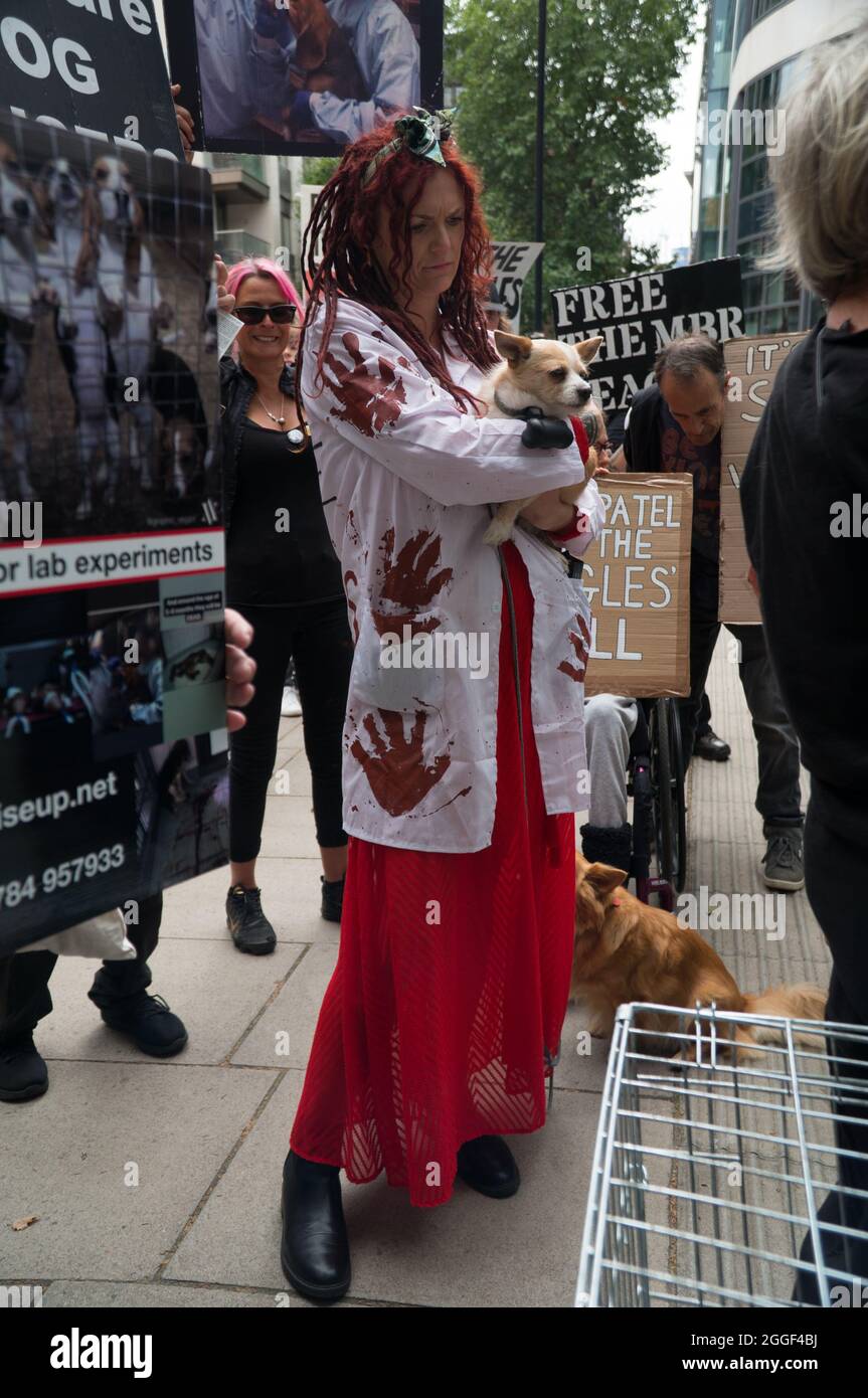 2021-08-31 Home Office, London, Großbritannien. August 2021. Das grausame Geheimnis, UK Hunde Liebhaber kein Fleisch der Einsatz von Hunden in Tierversuchen - Free the MBR Beagle. Tierrechtsprotester fordern von Innenministerin Priti Patel, den Einsatz von Hunden in Tierversuchen einzustellen. Kredit: Picture Capital/Alamy Live Nachrichten Stockfoto