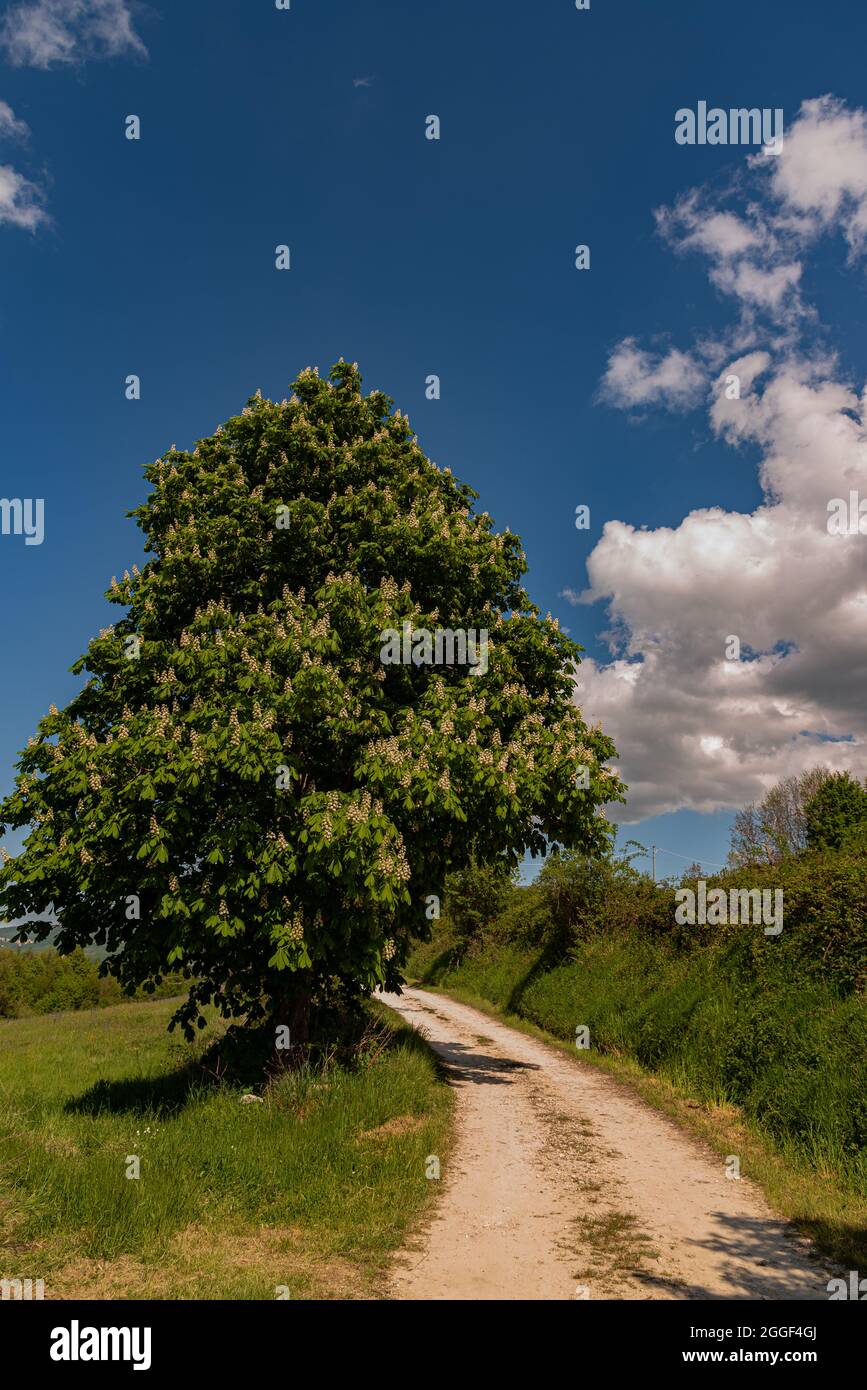 Abruzzen. Herrliche Frühlingsaussichten auf eine der schönsten Regionen Italiens. Stockfoto