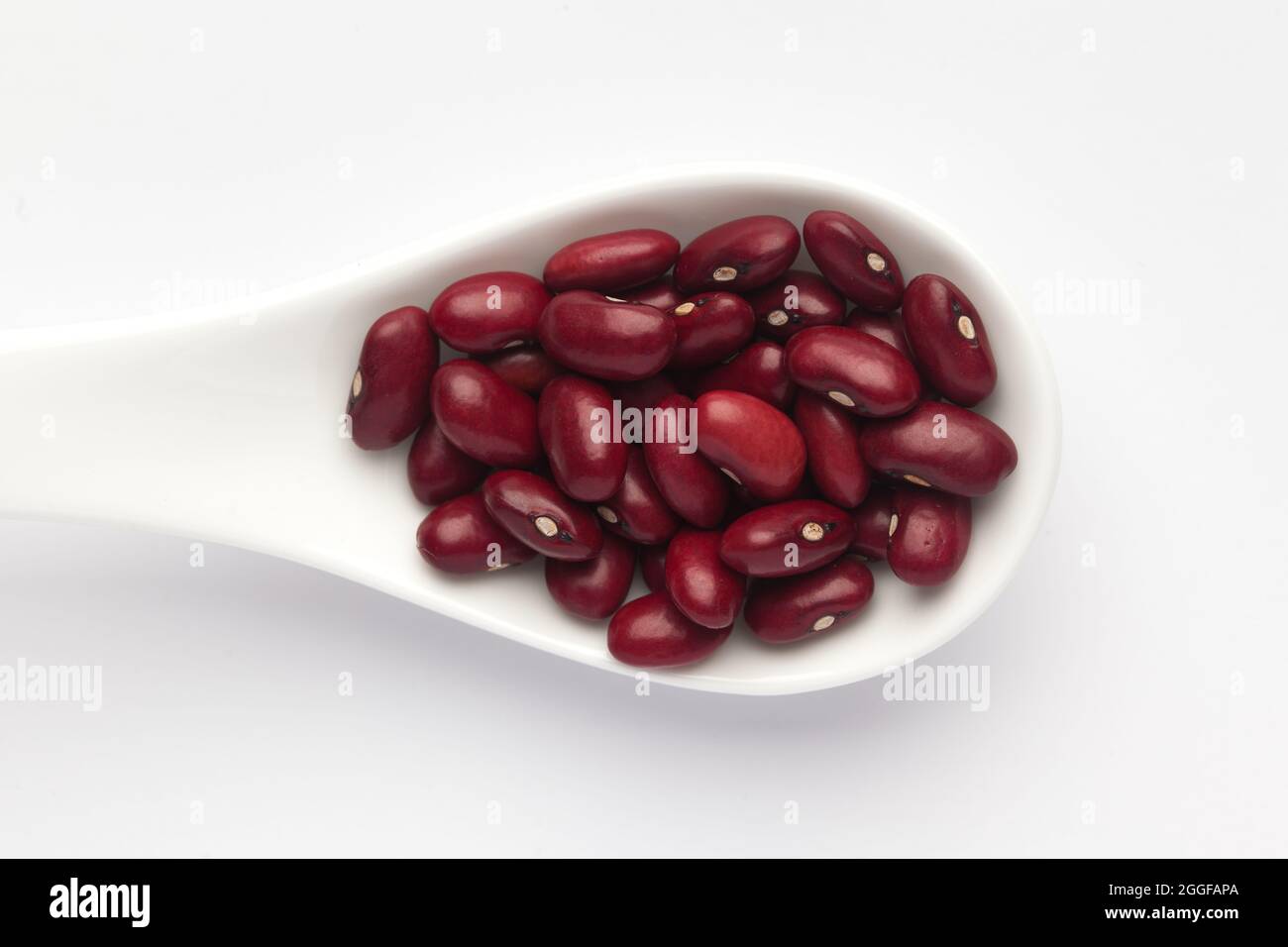 Makro-Nahaufnahme von organischen Rajma, (Laal Lobia) oder roten Kidney-Bohnen auf einem weißen keramischen Suppenlöffel. Draufsicht Stockfoto