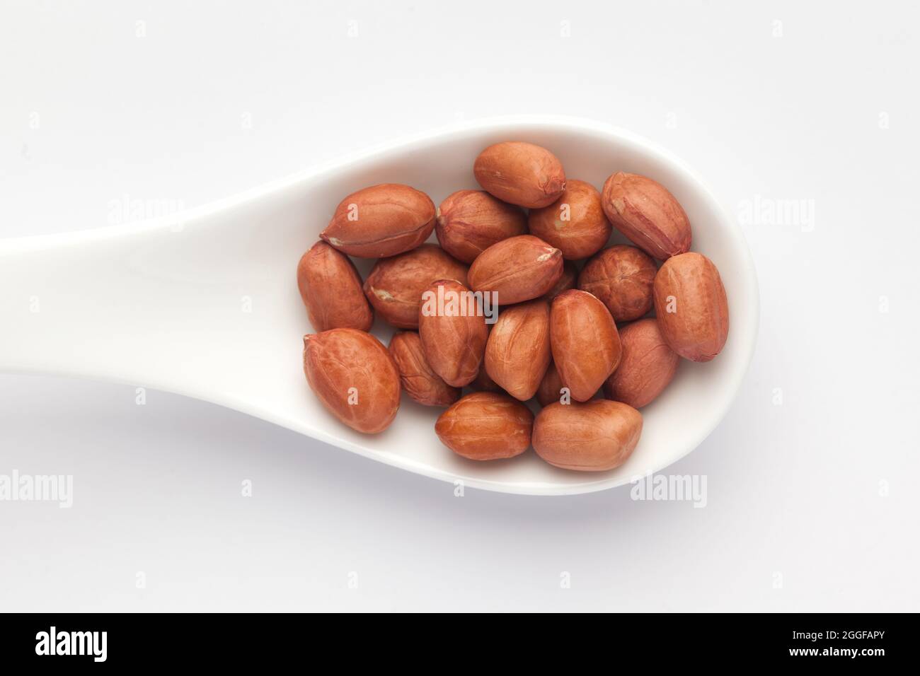 Makro Nahaufnahme von Bio-rot-braunen Erdnüssen (Arachis hypogaea) auf einem weißen keramischen Suppenlöffel. Draufsicht Stockfoto