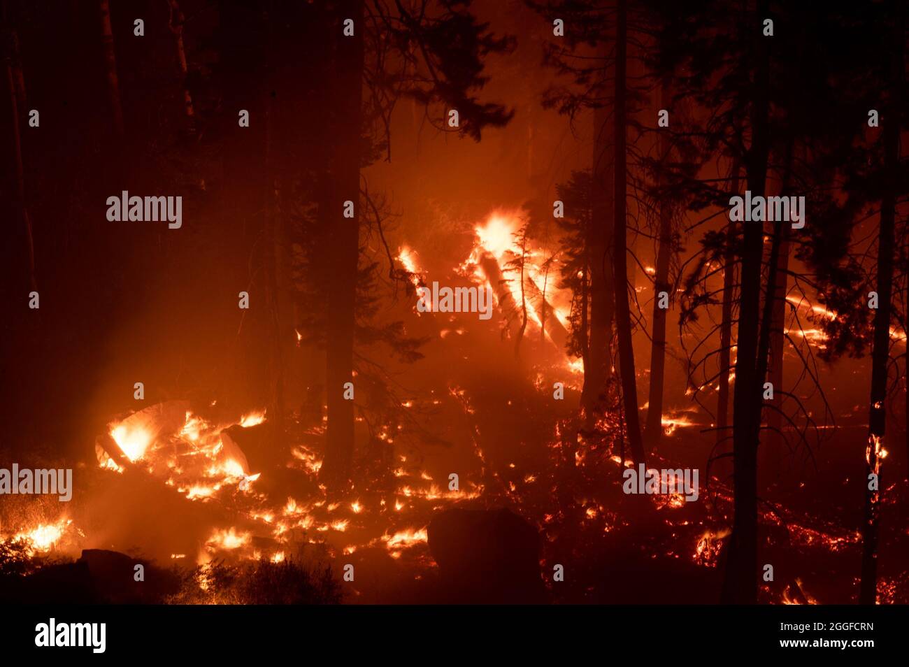 Stateline, NV, USA. August 2021. Während des Caldor-Feuers am Montag, den 30. August 2021 in El Dorado County, brennt auf dem Highway 50 östlich des Echo Summit Feuer. (Bild: © Paul Kitagaki Jr./ZUMA Press Wire) Stockfoto