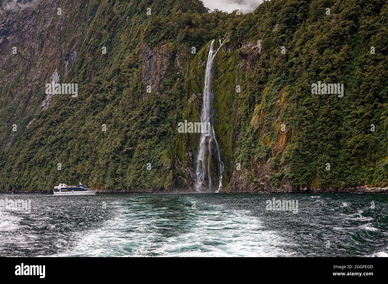 Enger Wasserfall, hoher Hang, grüne Vegetation, Wasserfallkaskadierung, Natur, Tour Boot Zwerg, Milford Sound, Fiordland National Park, Te Anau, New Ze Stockfoto