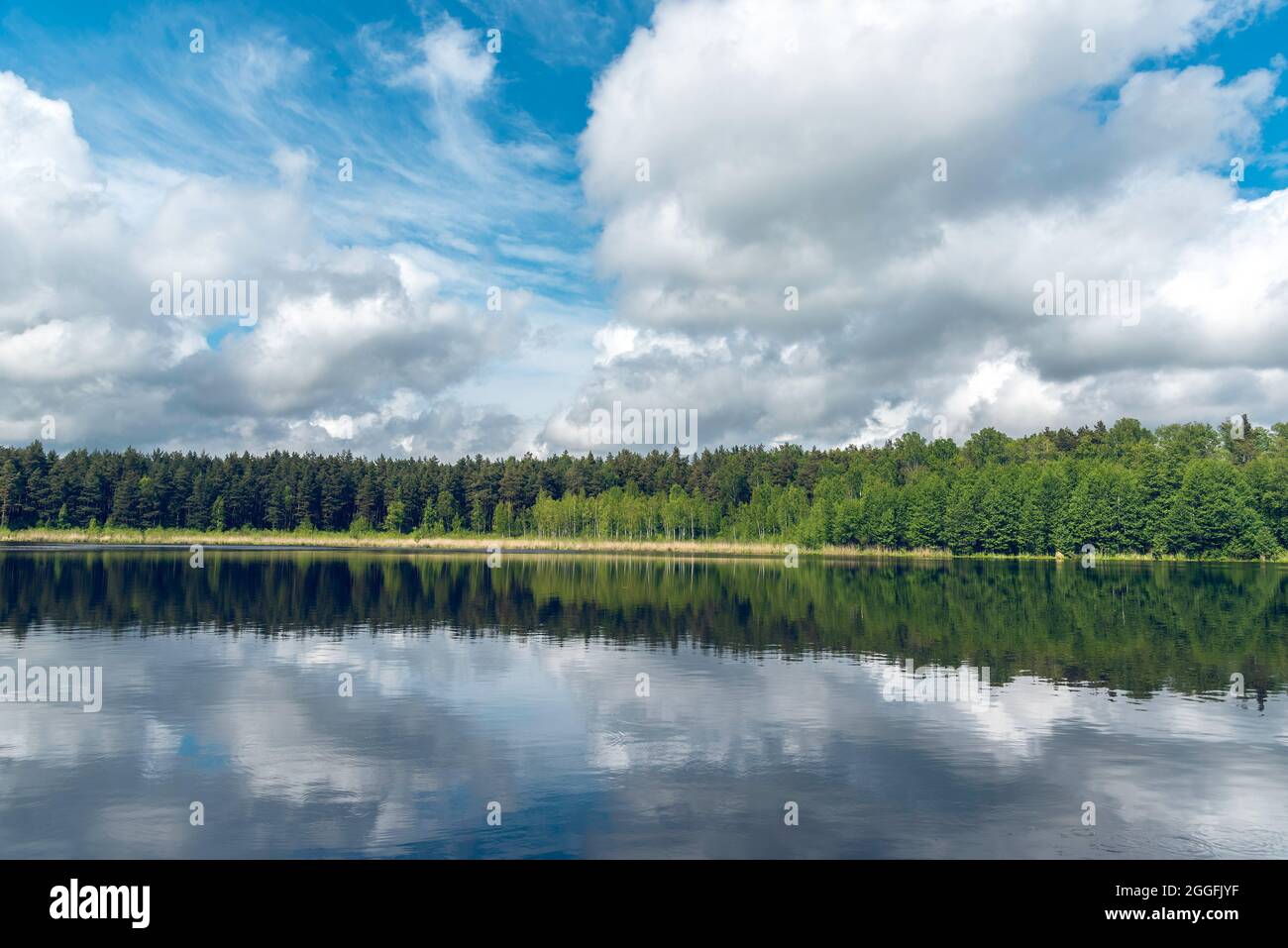 Schöne Landschaftsansicht auf den See im Wald Stockfoto