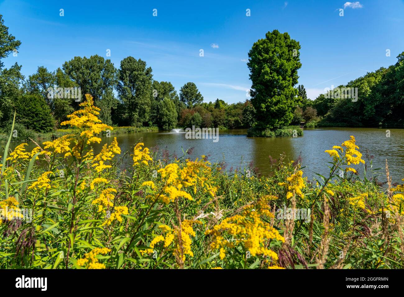 Schlosspark Herten Stockfotos und bilder Kaufen Alamy