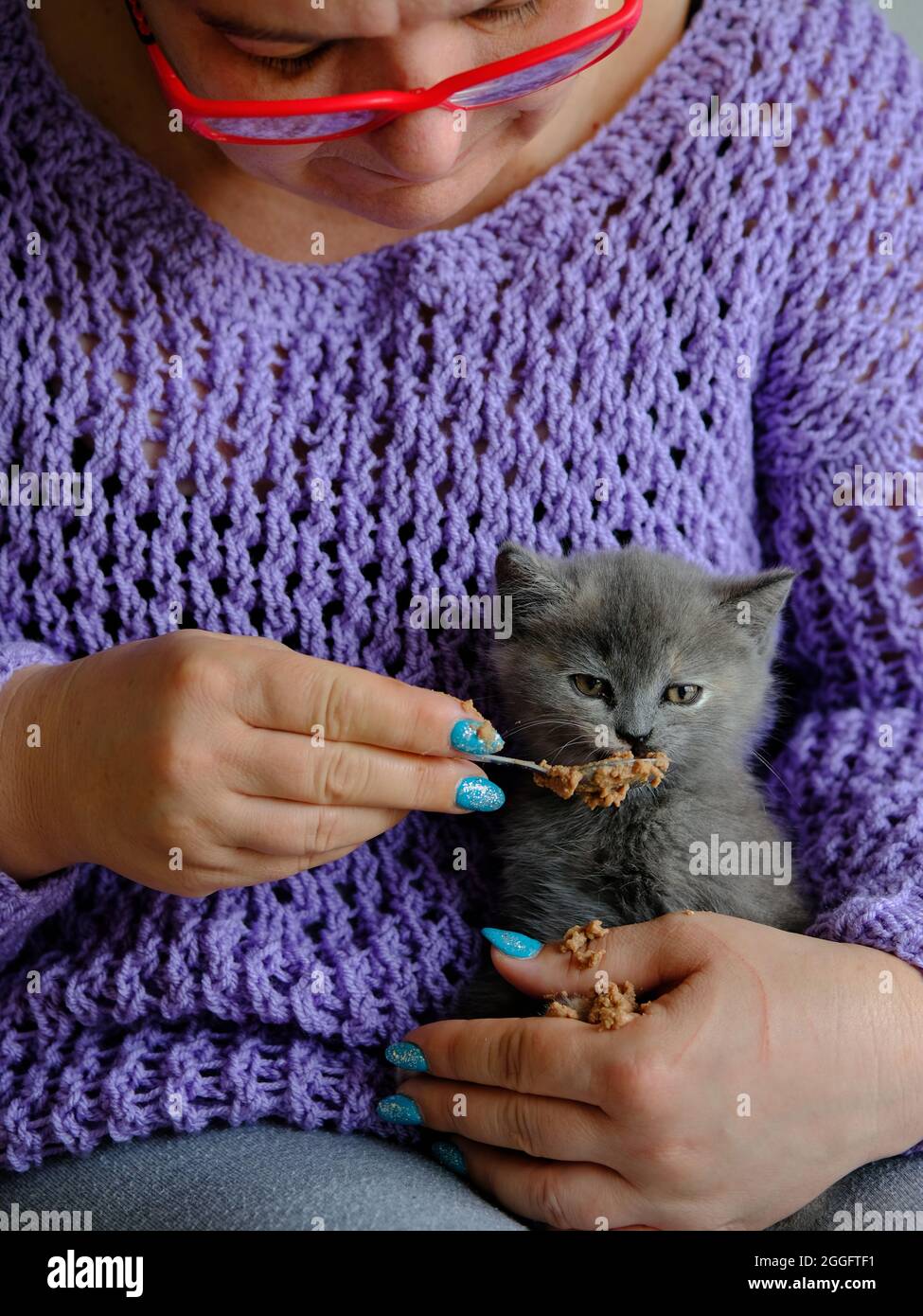 Porträt einer reifen Frau, die ein niedliches Kätzchen füttert pâté mit einem Löffel Stockfoto