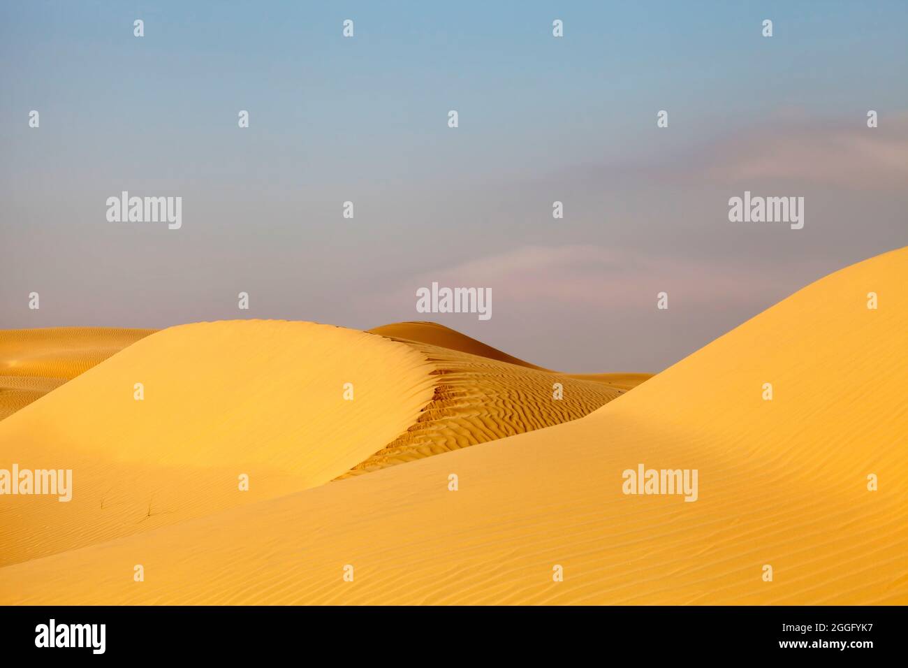 Liwa-Wüste in den Vereinigten Arabischen Emiraten Stockfoto