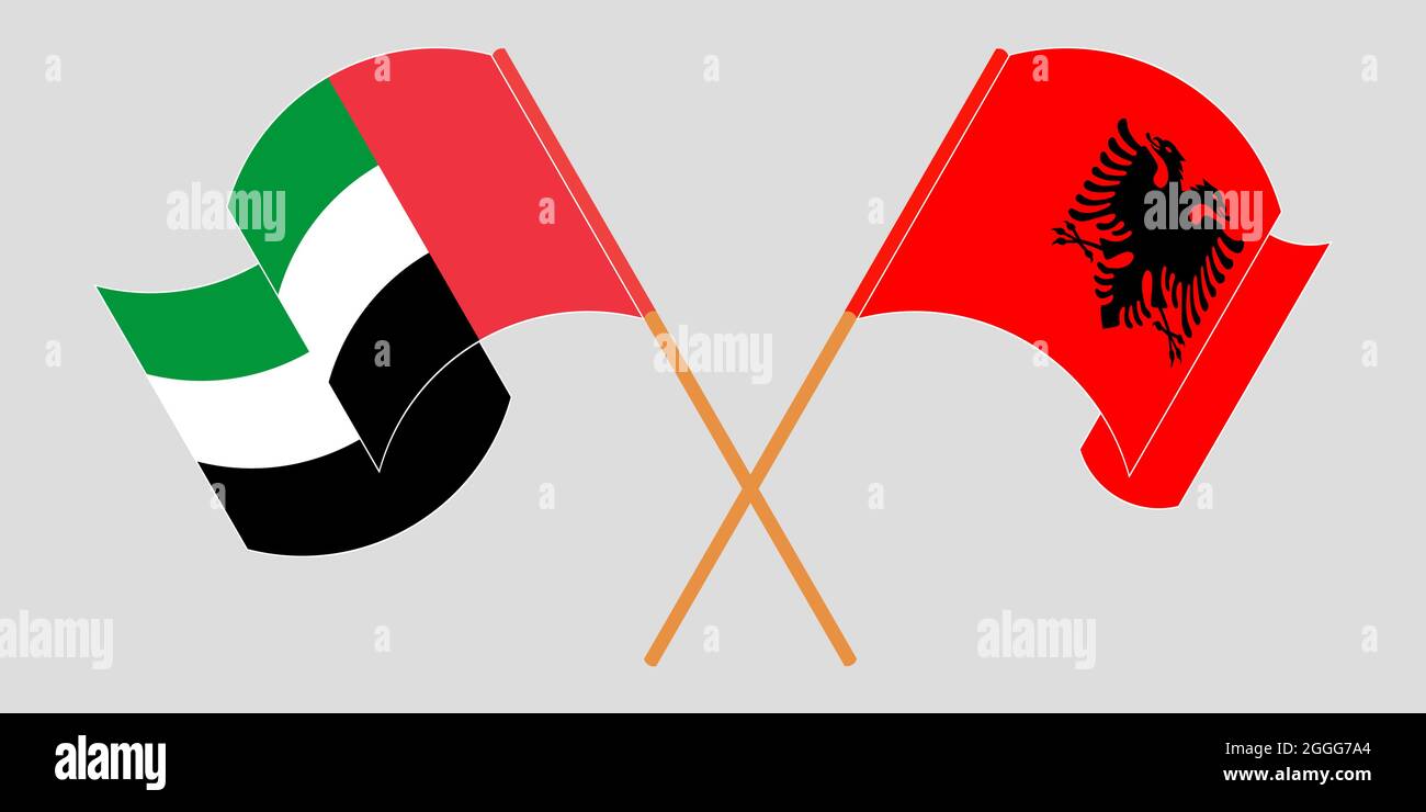 Gekreuzte und winkende Flaggen Albaniens und der Vereinigten Arabischen Emirate Stock Vektor