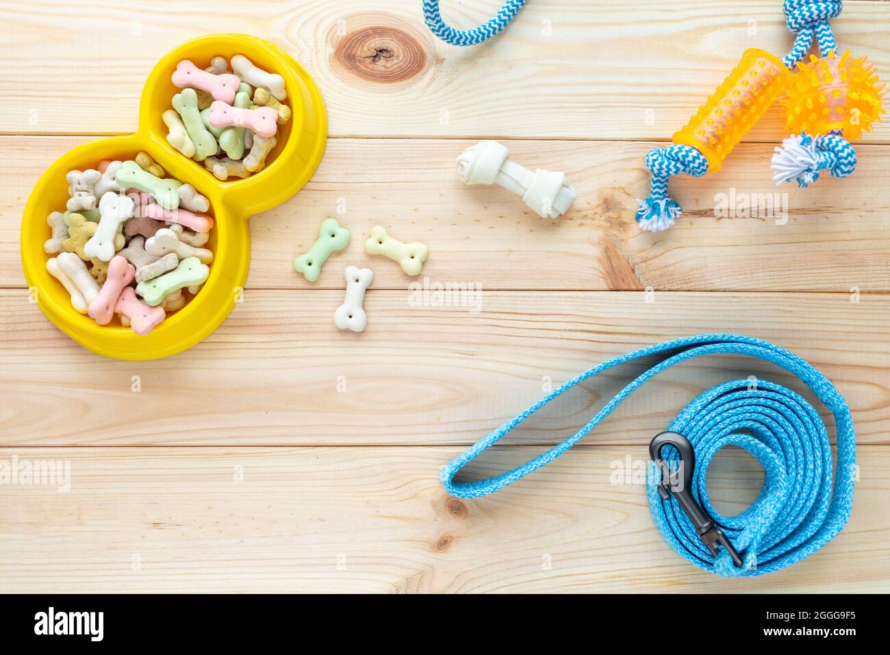 Verschiedene bunte Tierpflegezubehör: Ring, Knochen, Kugeln, Snacks auf natürlichem Holzhintergrund. Gummi- und Textilzubehör für Hunde. Stockfoto