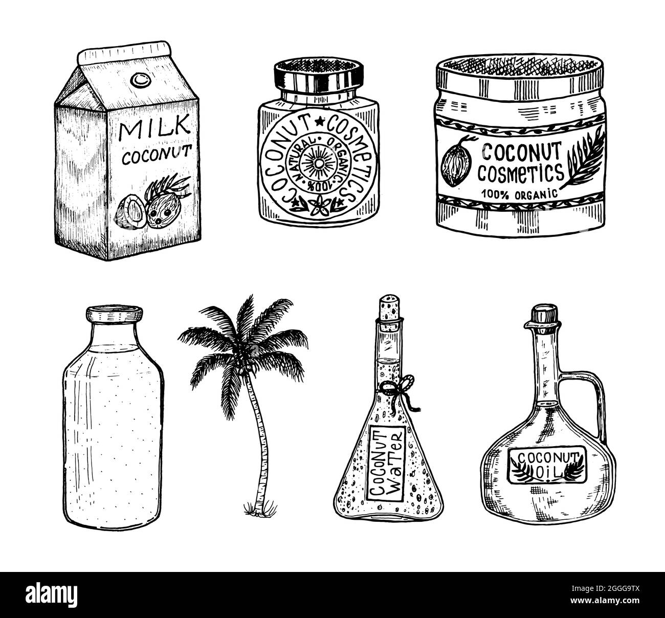 Kokosnuss- und Palmblatt, Milchverpackung, Glasflasche, Butter, kosmetische Cremedose. Vintage-Style. Illustration tropischer Lebensmittel Stock Vektor