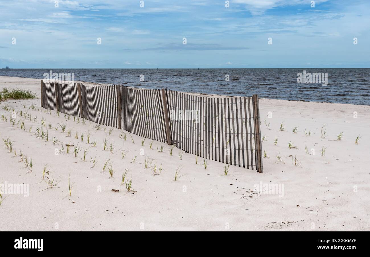 Sanddünenrestaurierung, Dünenbau und Sandzäune an der Golfküste von Mississippi, USA. Stockfoto