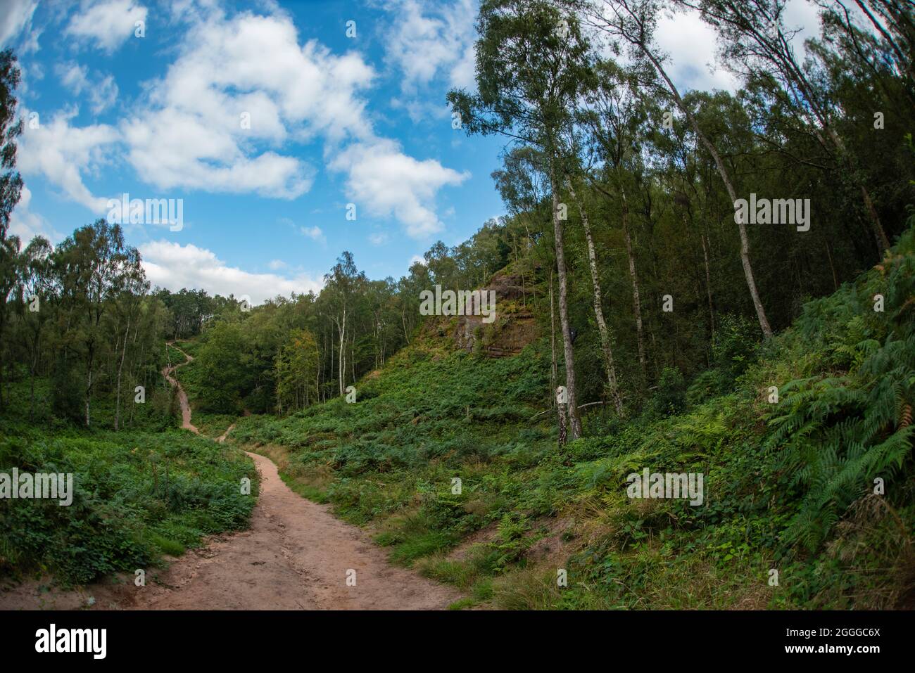 Kinver Edge Rock Houses Trail, Kinver Edge & The Rock Houses, Kinver, Stourbridge, West Midlands Stockfoto