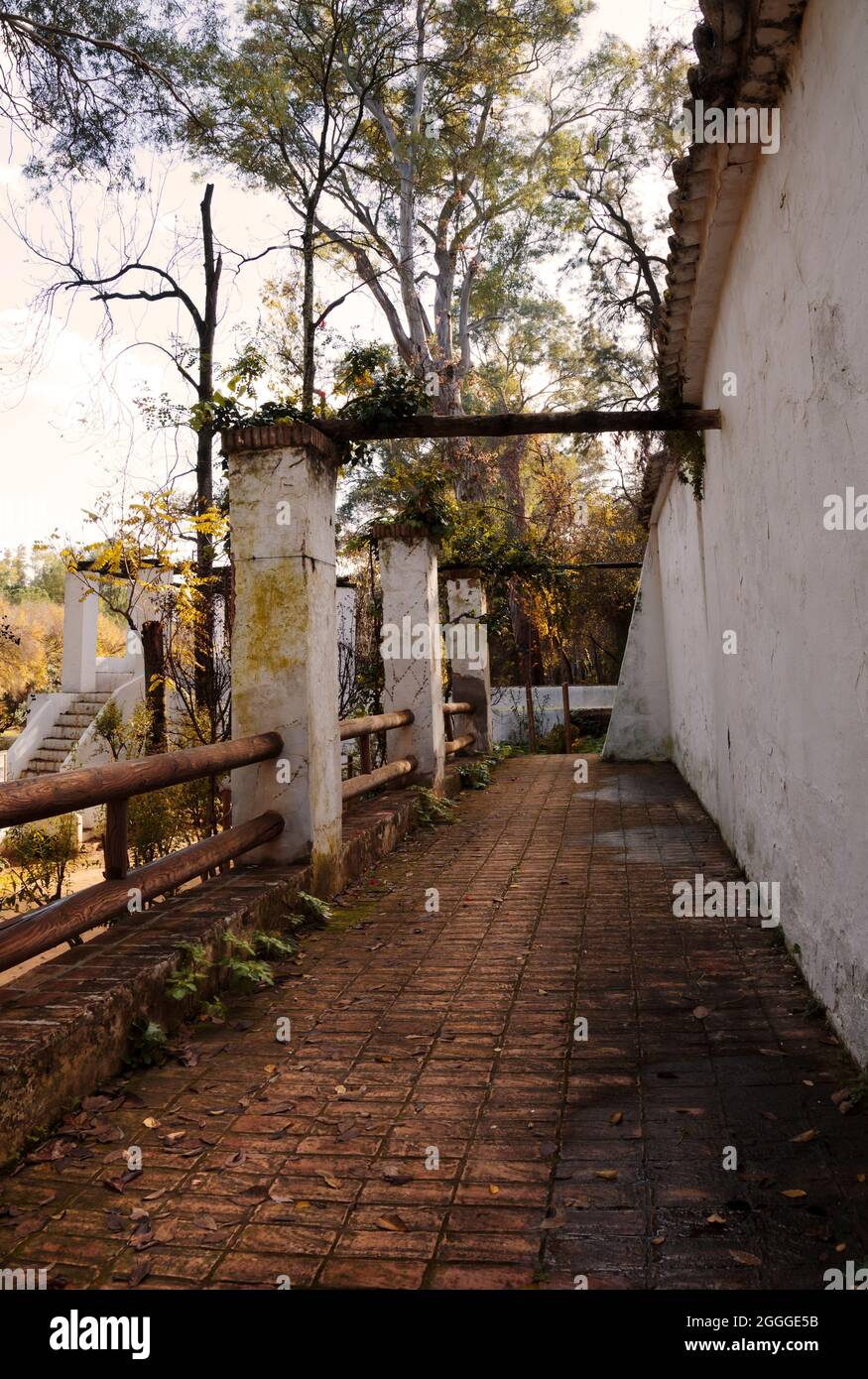 Stimmungsvolle herbstliche Szene einer verwitterten alten Veranda Stockfoto