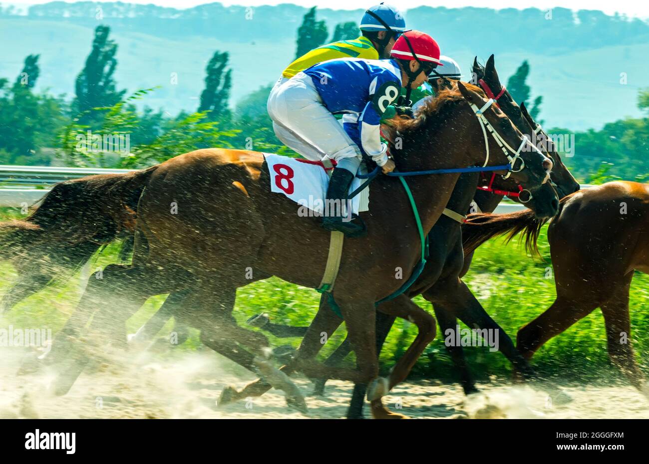 Starten Sie das Pferderennen in Pyatigorsk, Russland. Stockfoto