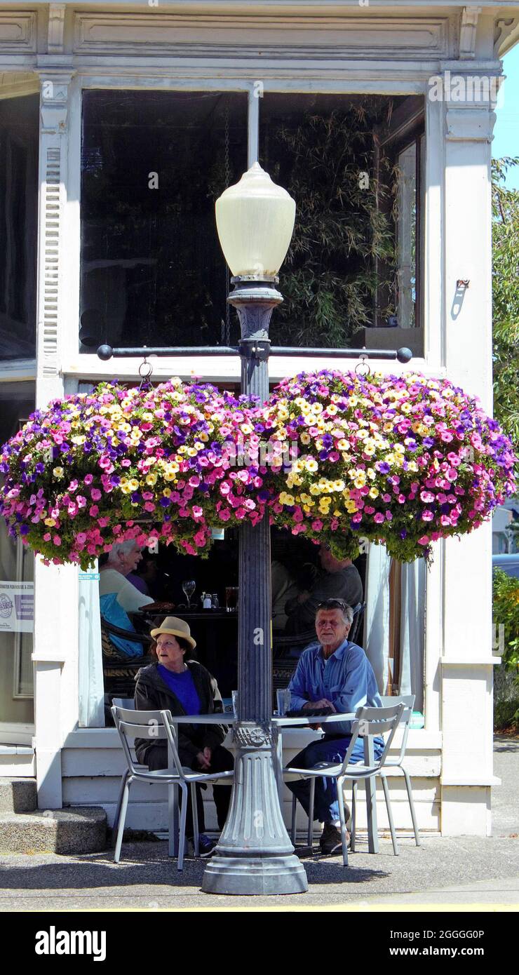 Große Körbe mit bunten Petunia-Pflanzen hängen an einem Laternenpfahl Stockfoto