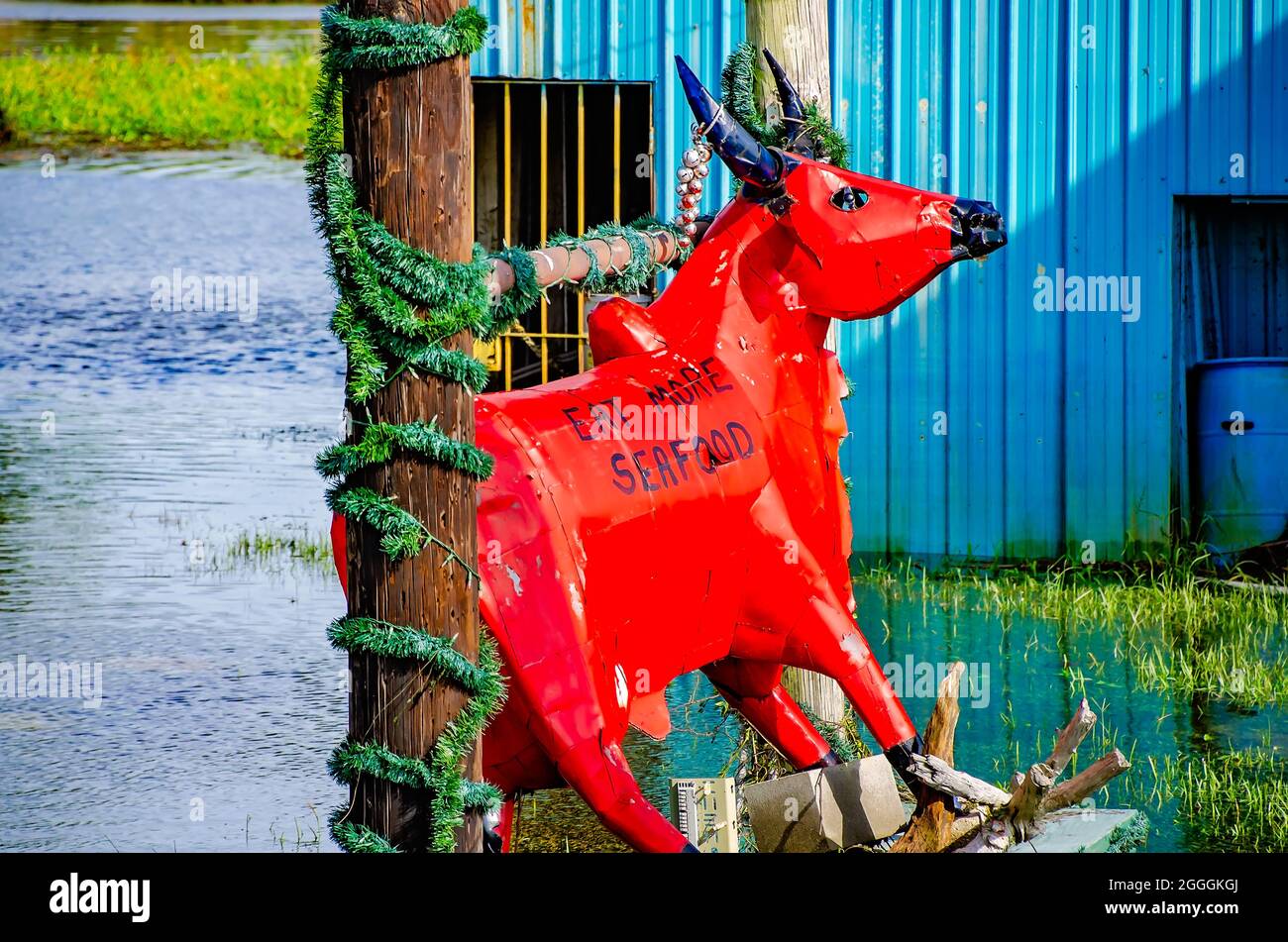 Das Flutwasser des Unorkanes Ida umgibt eine Stierstatue in der Turtle Landing Bar & Grill, 30. August 2021, in Pearlington, Mississippi. Stockfoto