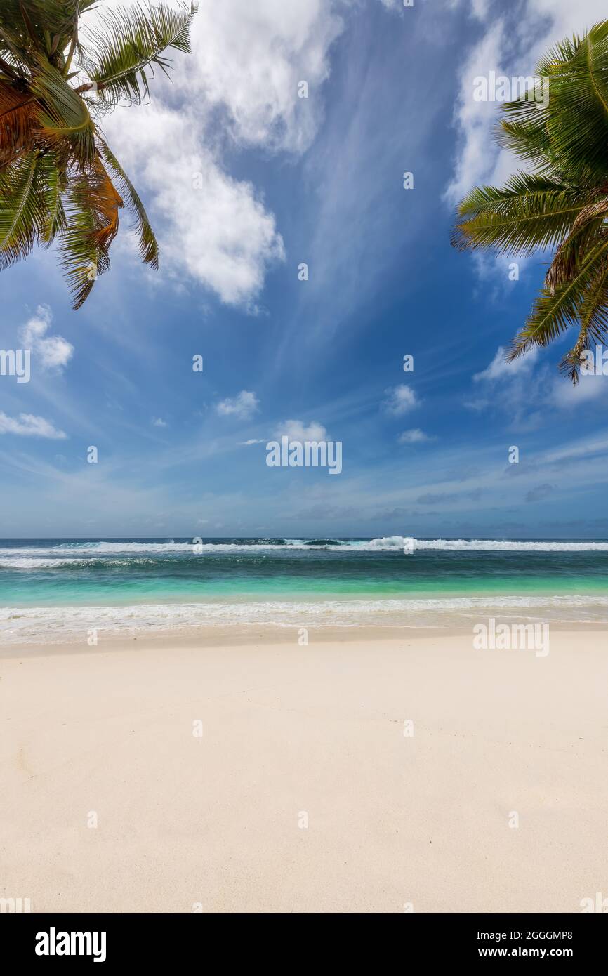 Abstrakte Meereslandschaft mit Palmen, tropischer Strandhintergrund. Stockfoto