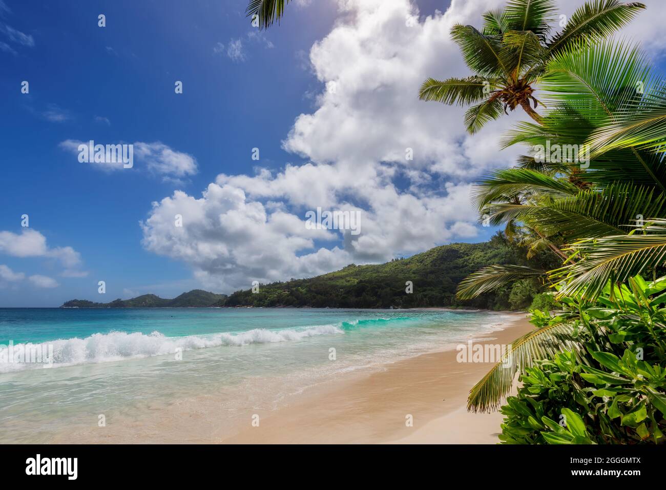 Wunderschöner tropischer Strand, Palmen und Meer Stockfoto