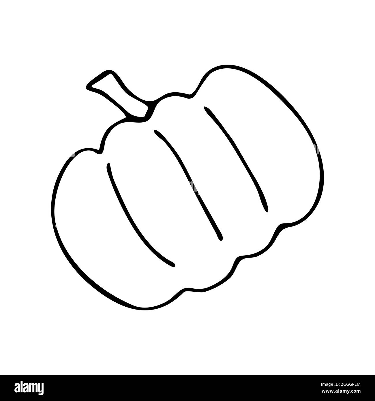 Kürbis im Doodle-Stil. Schwarz-Weiß-Vektor. Konzept Urlaub Illustration. Frohe Halloween. Ernte Stock Vektor