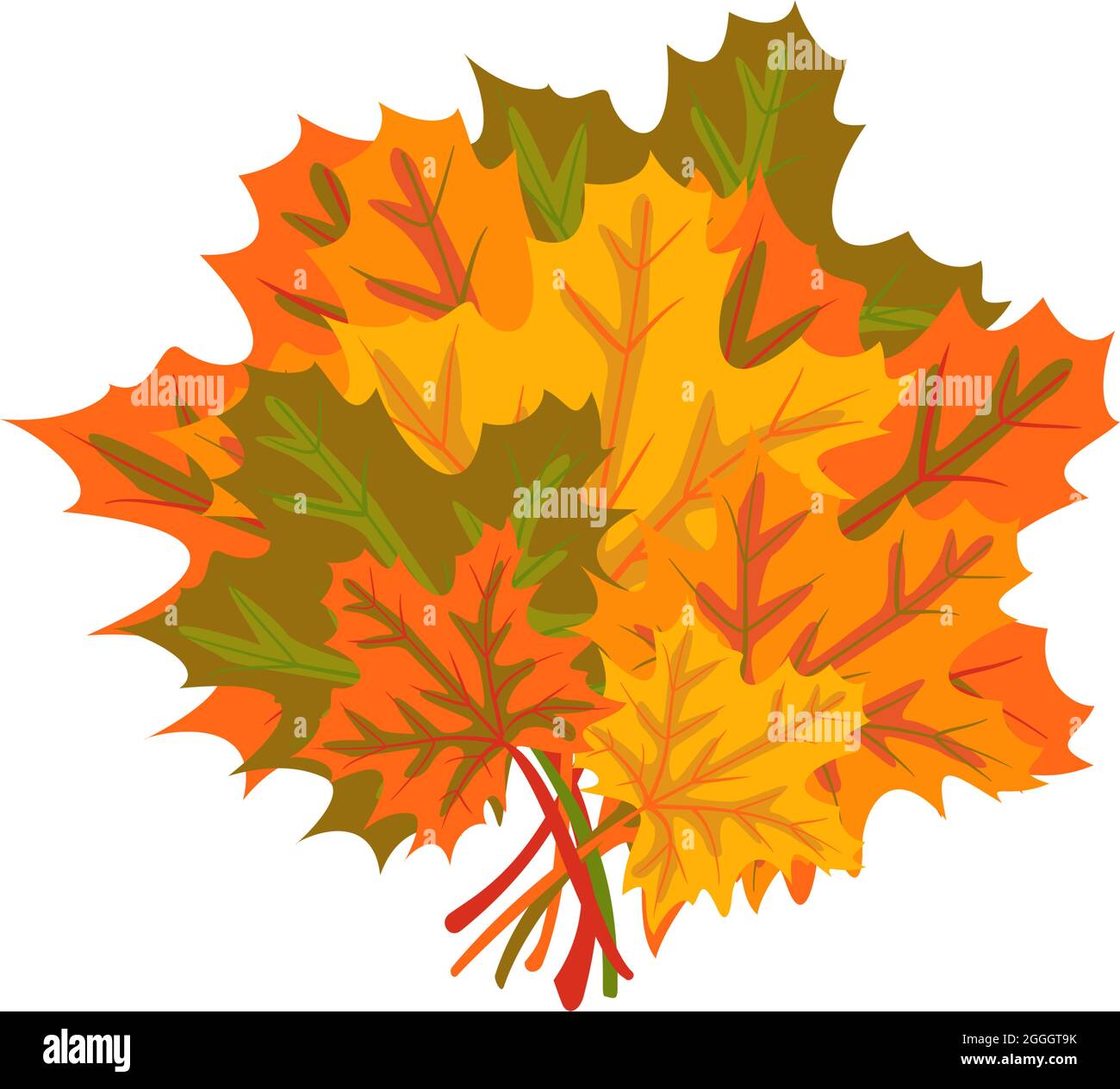 Bouquet von bunten Ahornblättern. Herbstartikel zur Dekoration Stock Vektor