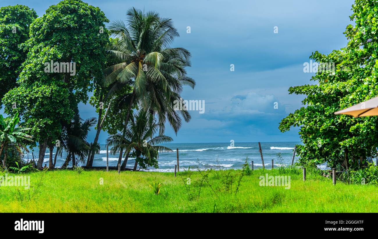 Eine wunderschöne Aussicht von einem Strandgrundstück auf den Pazifik. Schöne grüne Wiese und Palmen sind zu sehen. Stockfoto