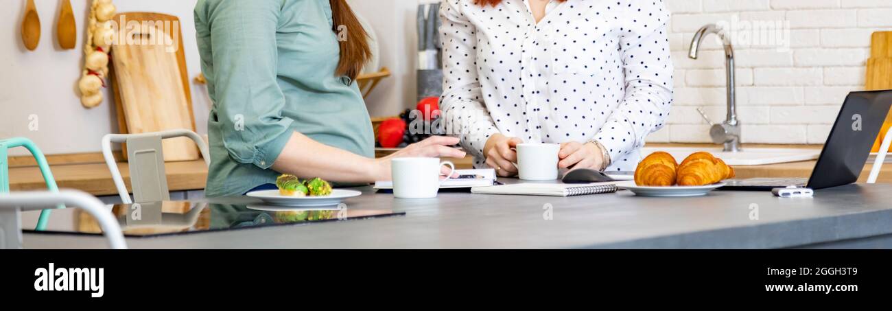 Banner, zwei junge Frauen reden begeistert in einem Café, während sie an Laptops arbeiten und Tee trinken. Schwangere reden über Elternschaft Stockfoto