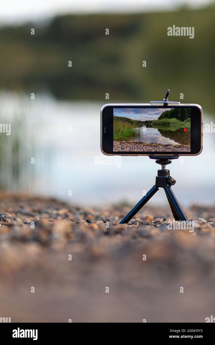 Eine Nahaufnahme des Telefons auf einem Stativ nimmt ein Video oder ein Foto von der Natur auf. Ein schöner See im Wald mit Wolken auf dem Bildschirm des Fotografen Stockfoto