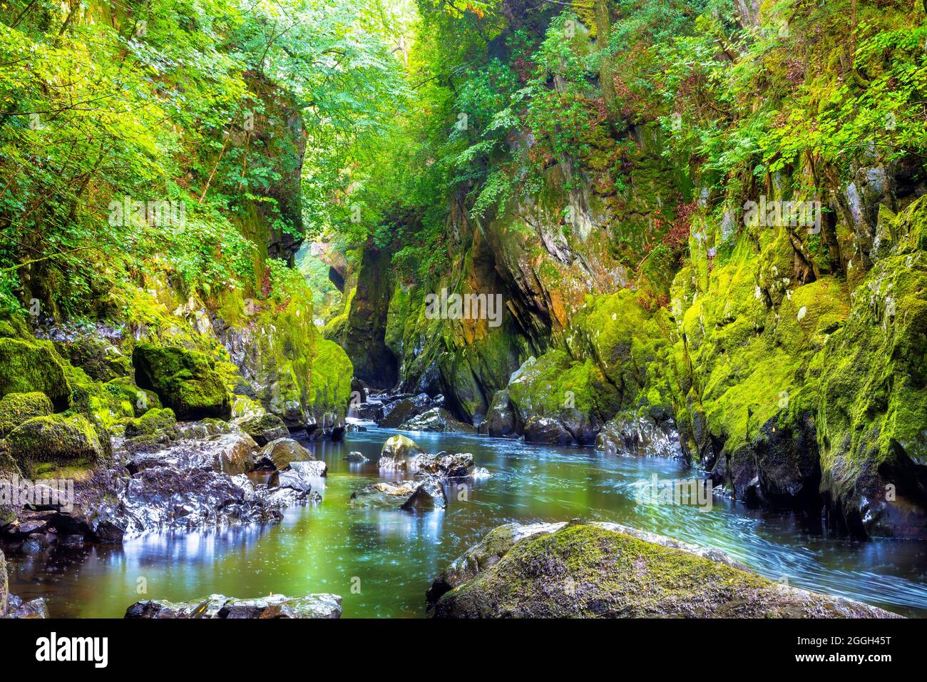 Fairy Glen Gorge am Conwy River, Betws-y-Coed, Snowdonia National Park, Wales, Großbritannien Stockfoto