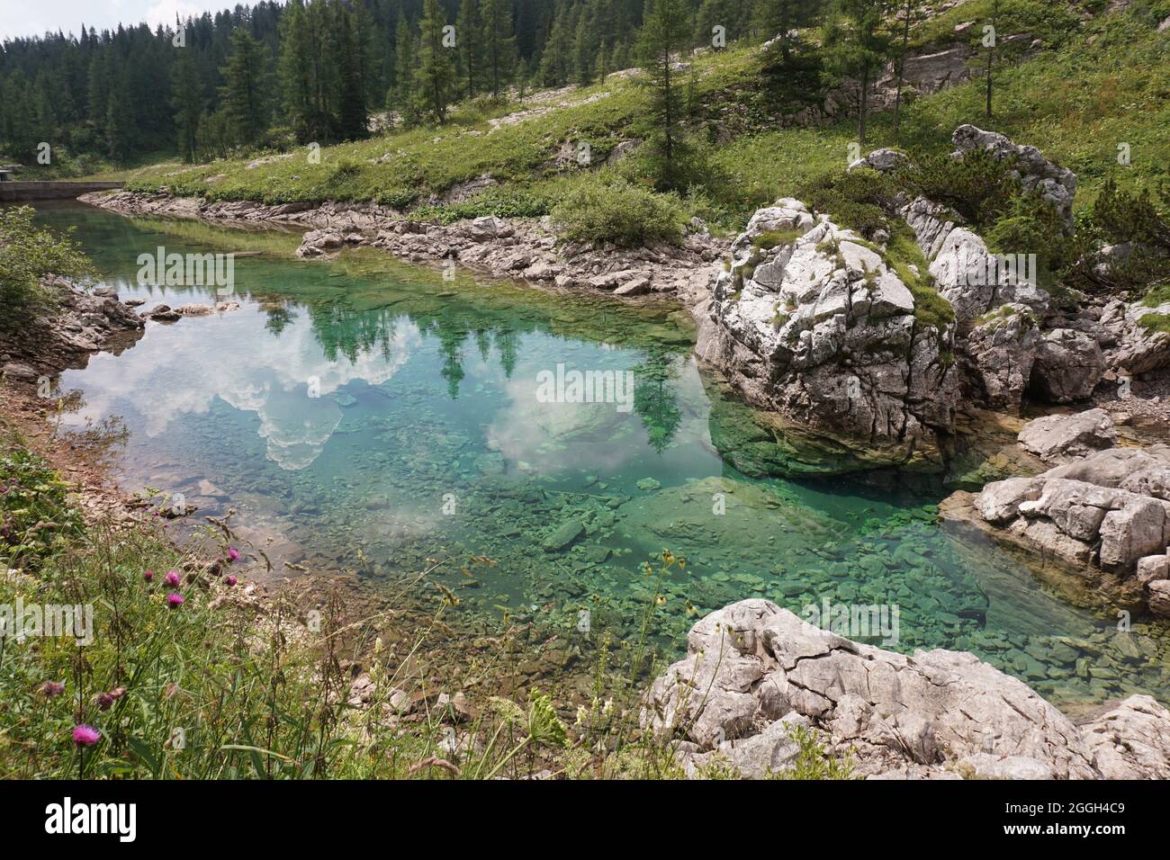 Reflexion über einen natürlichen Teich, Wanderung im Seven Lakes Valley, Slowenien 2020 Stockfoto