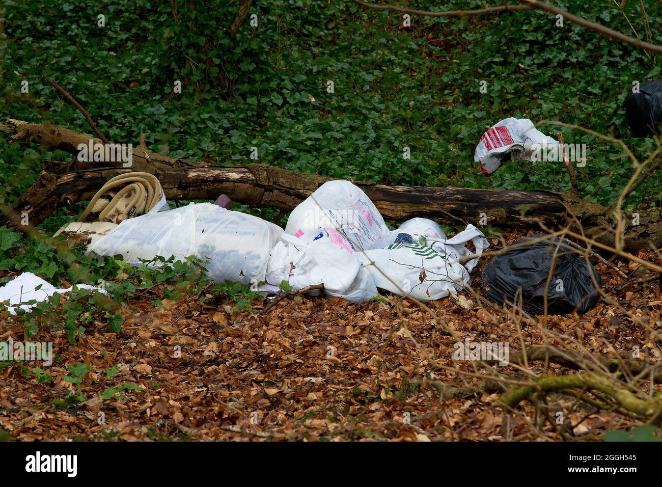 Fliegenkippen und Vermüllung in Kirklees (Abfall im Wald deponiert) Stockfoto