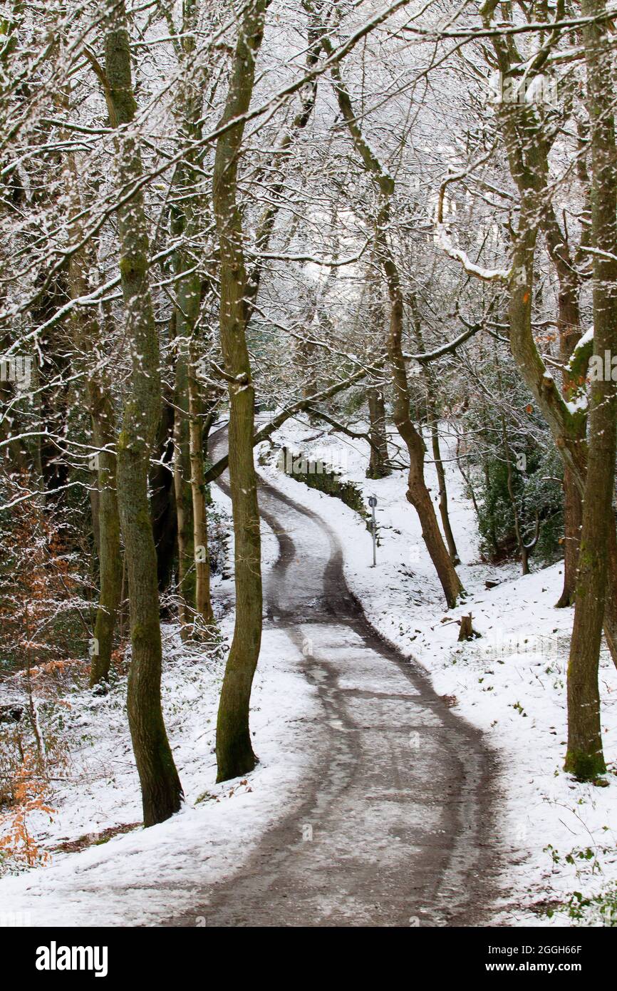 Eine Strecke, die im Winter in Meltham, Huddersfield, durch die Bäume schneidet Stockfoto