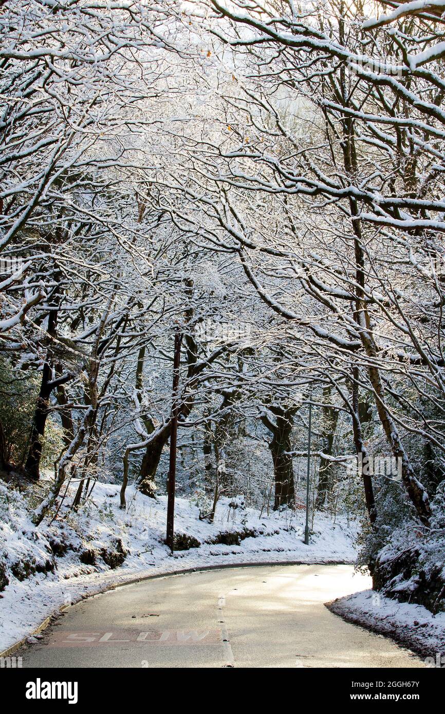 Knowle Lane, Meltham, Huddersfield im Winter Schnee und Sonnenschein Stockfoto