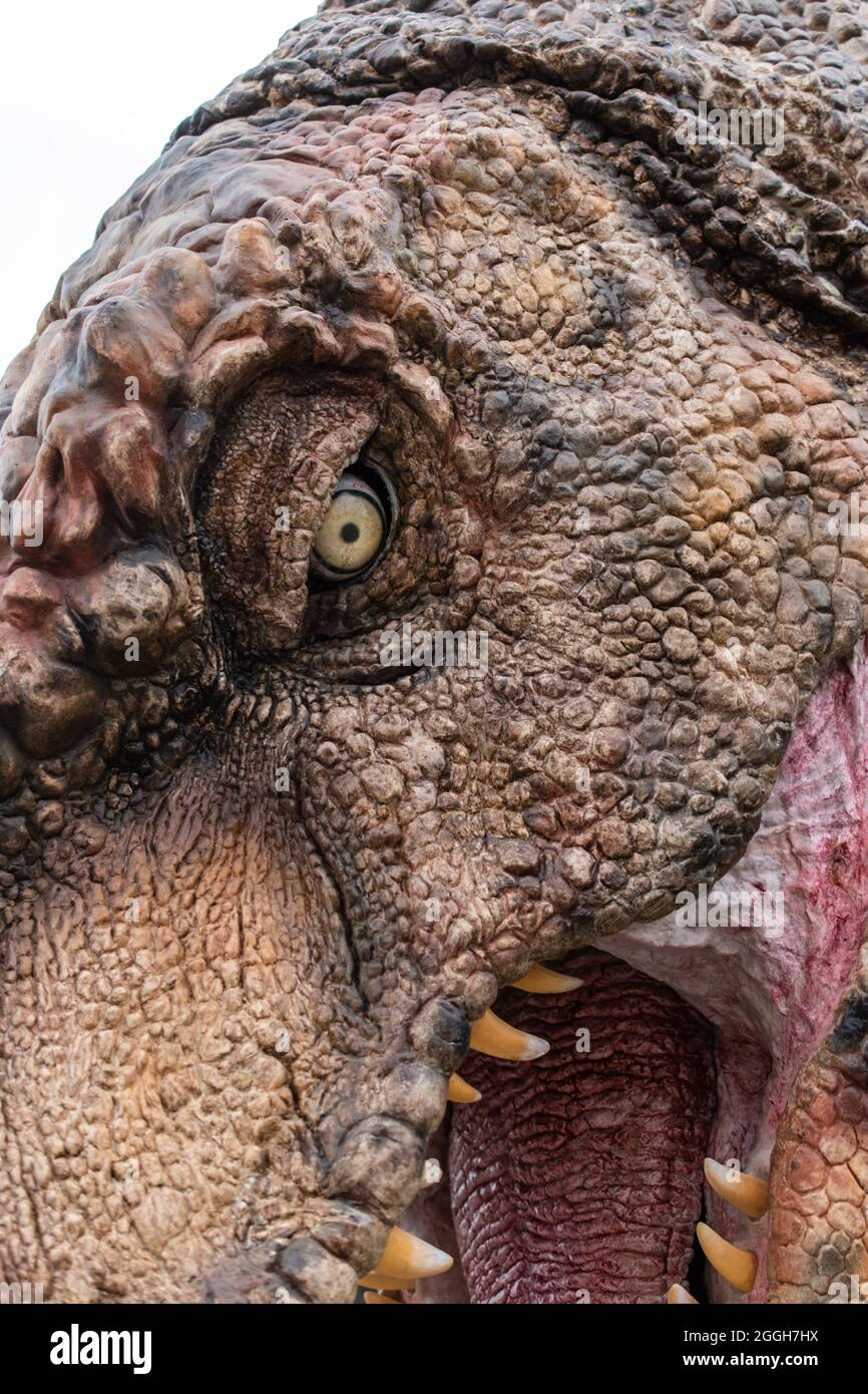 GÖTEBORG, SCHWEDEN - 13. August 2021: Ein Foto, das bei der Ausstellung Megalodon Creations in Heden, Schweden, aufgenommen wurde und prähistorische Tiere zeigt Stockfoto