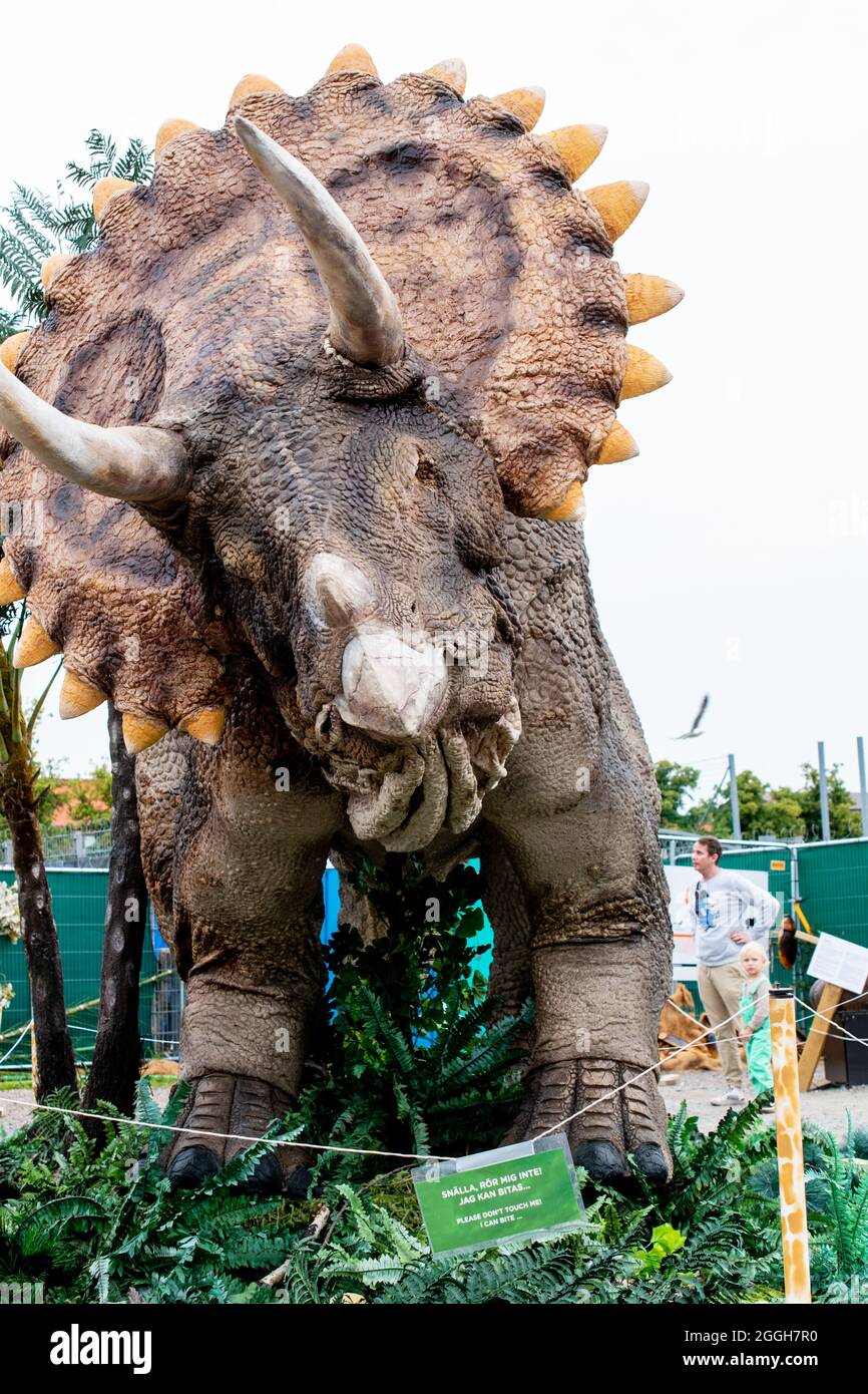 GÖTEBORG, SCHWEDEN - 13. August 2021: Ein Foto, das bei der Ausstellung Megalodon Creations in Heden, Schweden, aufgenommen wurde und prähistorische Tiere zeigt Stockfoto