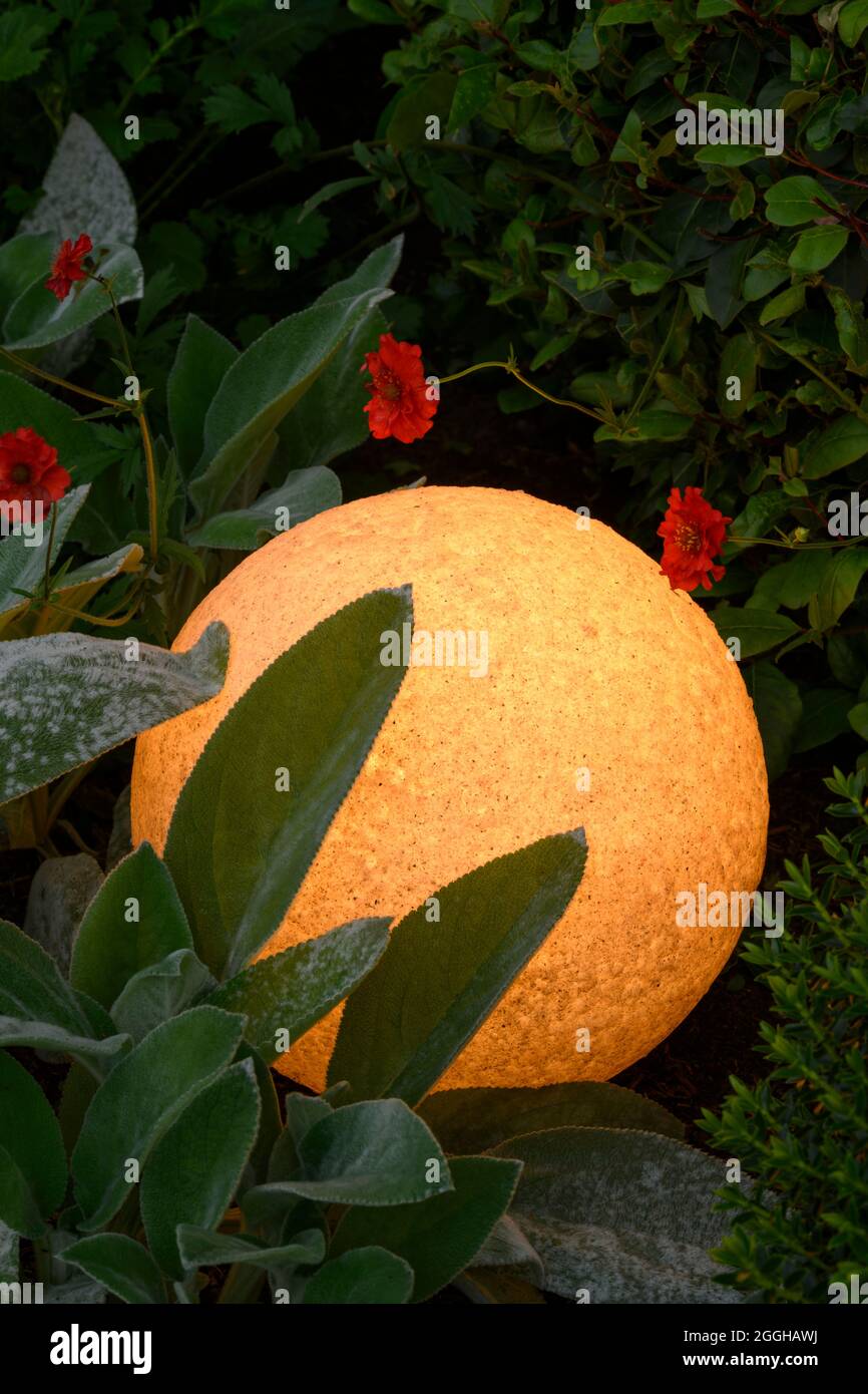 Stilvolles, glühendes, beleuchtetes Globenlicht (Nahaufnahme), eingebettet in rot blühende Geims - gepflegter privater Garten in der Abenddämmerung, Yorkshire, England, Großbritannien Stockfoto