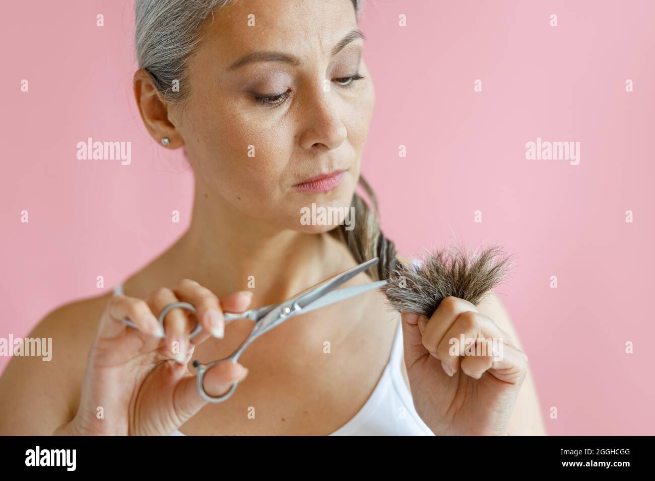 Zweifelende asiatische Frau schneidet ausgefranste Enden von langen grauen Haaren auf rosa Hintergrund im Studio Stockfoto