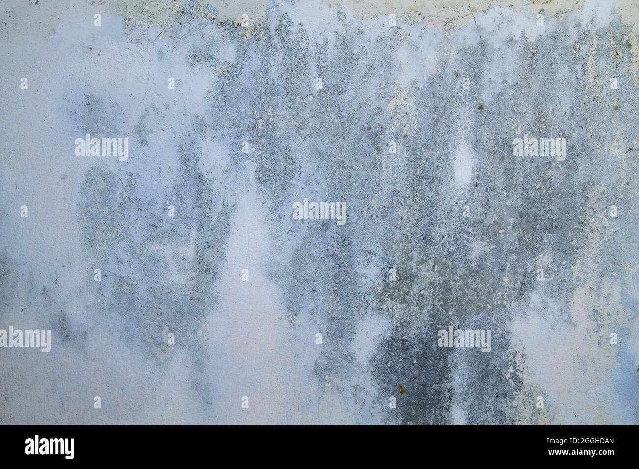 Alte, verwitterte, weiß verputzte Wand mit feuchtem, grauem Hintergrund oder Textur Stockfoto