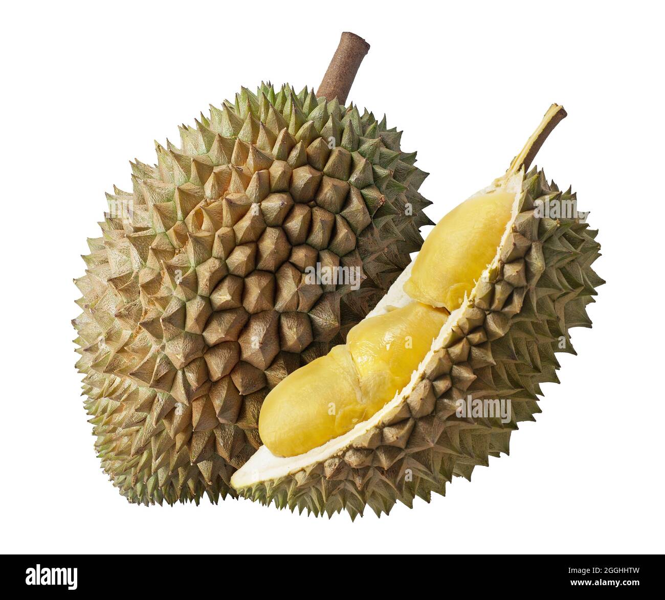 Durian Frucht isoliert auf weißem Hintergrund Stockfoto