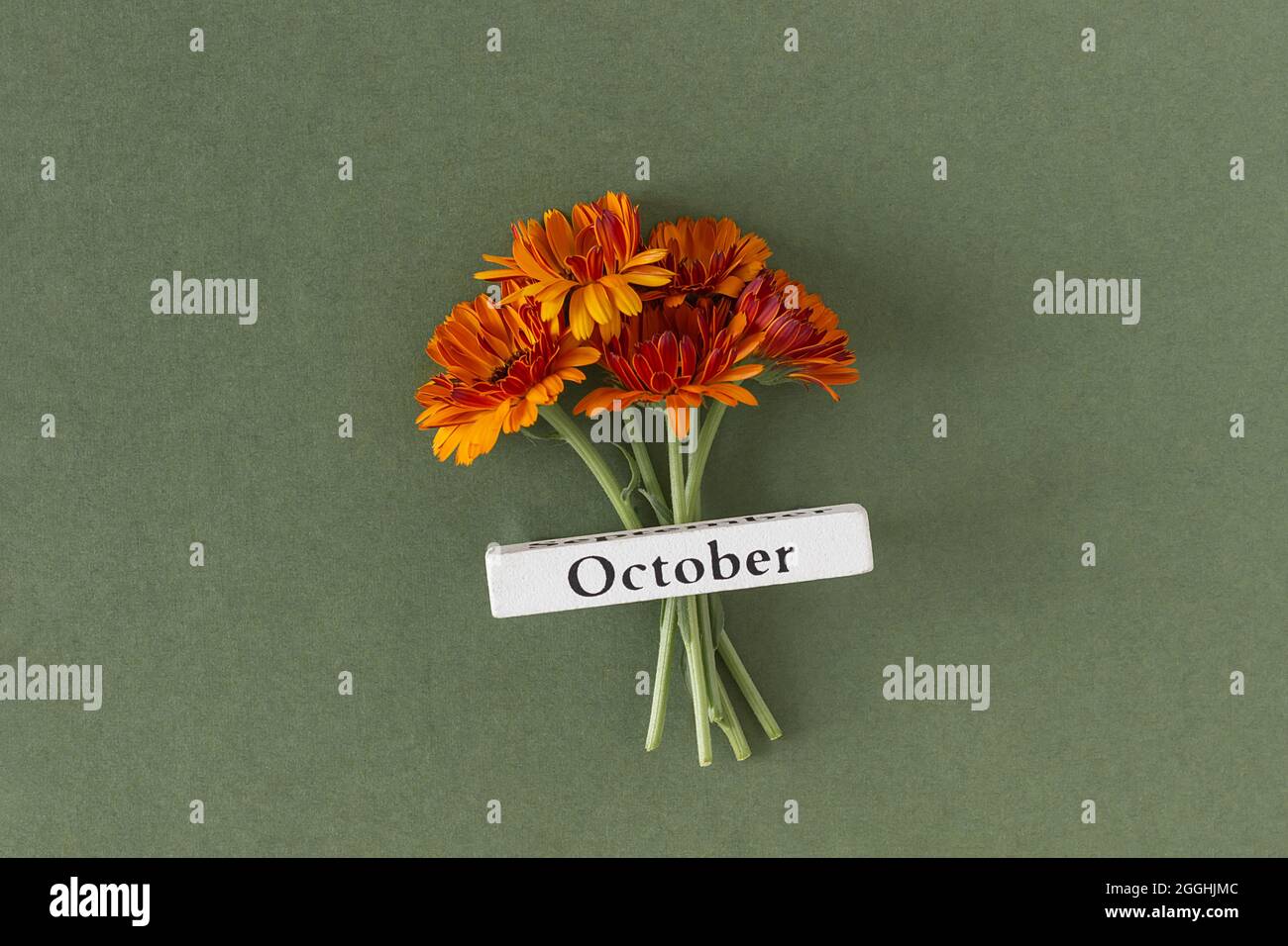 Kalender Herbst Monat Oktober und orange Blumen auf grünem Hintergrund. Draufsicht Flat Lay. Minimalkonzept Hallo Herbst. Vorlage für Ihr Design, grüßet Stockfoto