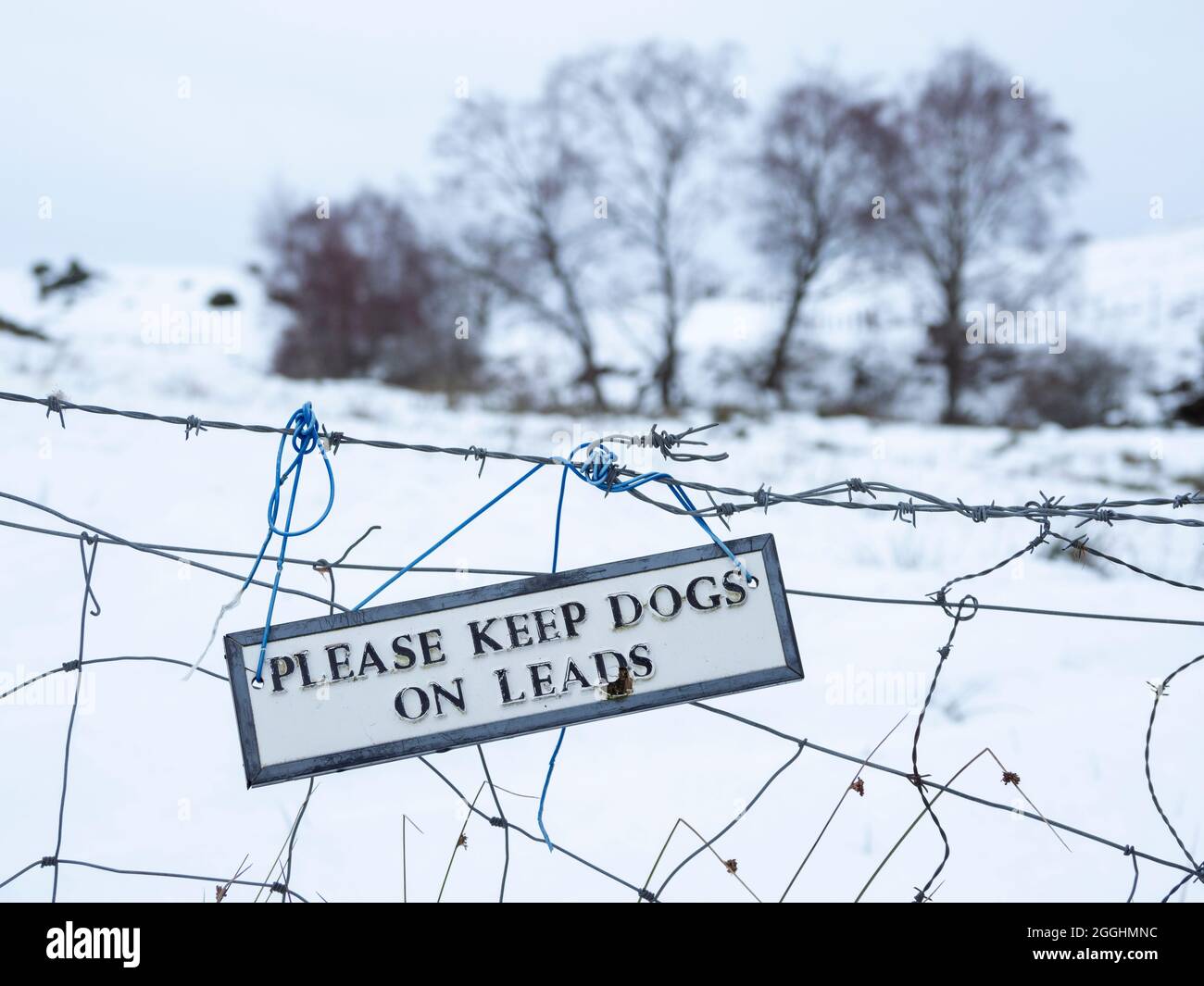 „Bitte halten Sie Hunde an der Messleitung“. Schild am Zaun, Highland, Schottland Stockfoto