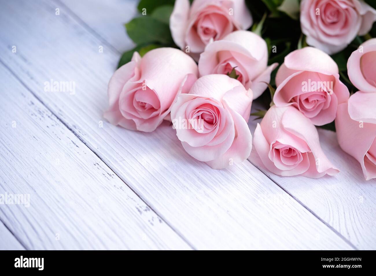 Schönes Bouquet von rosa Rosen auf cremefarbenem Holzhintergrund. Selektive Fokussierung. Liebe, Romantik, Valentinstag, Jubiläum. Stockfoto