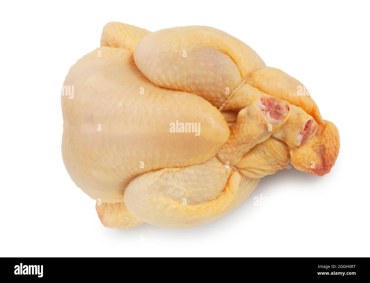 Studio-Aufnahme von freien Bereich, Mais gefüttert poussin vor einem weißen Hintergrund geschnitten - John Gollop Stockfoto