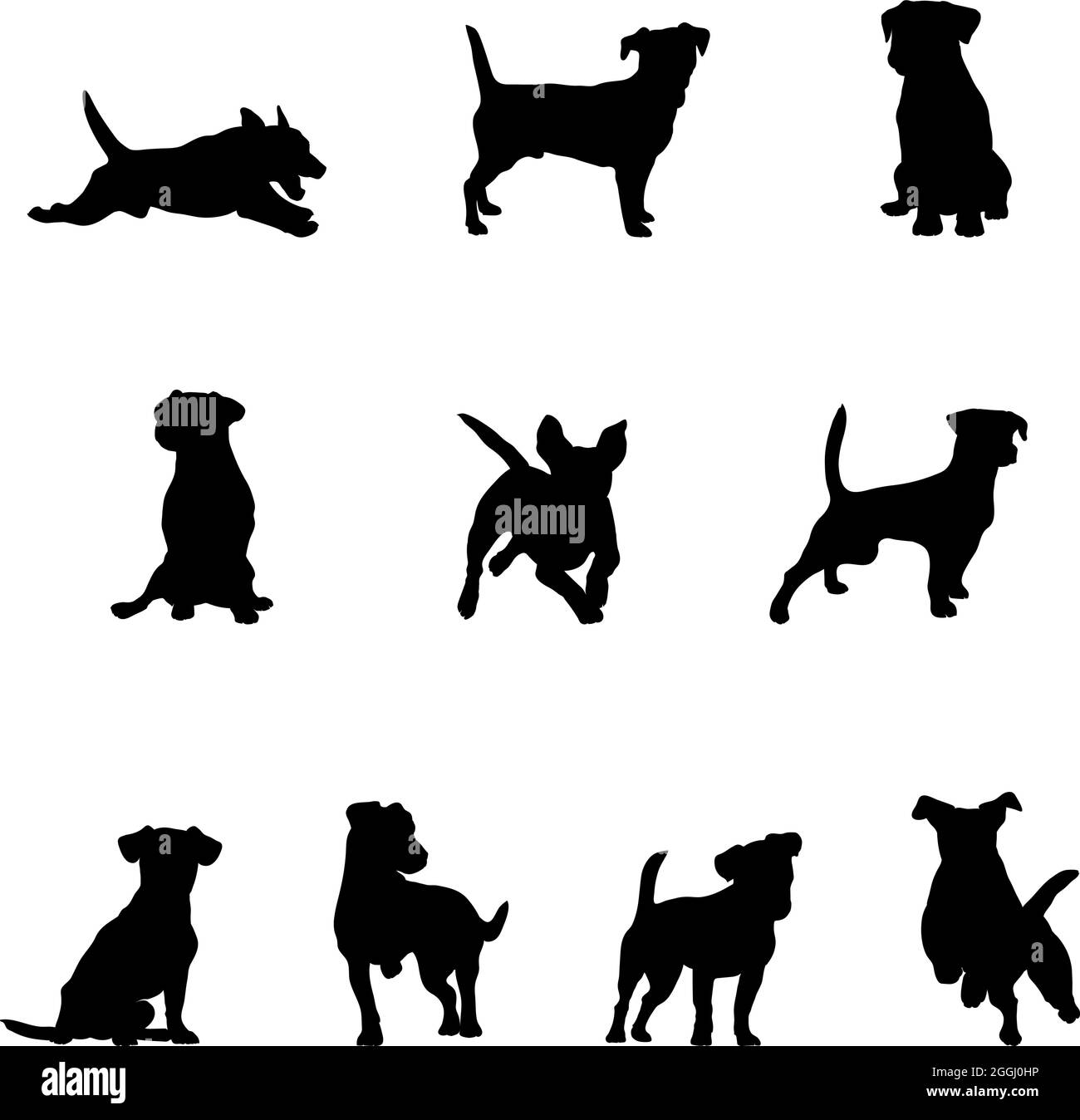 Jack Russell Terrier, Hund realistisch, schwarz-weiß, Bild für Dekoration, Verpackung und Druck, Hund, Vektor Stock Vektor
