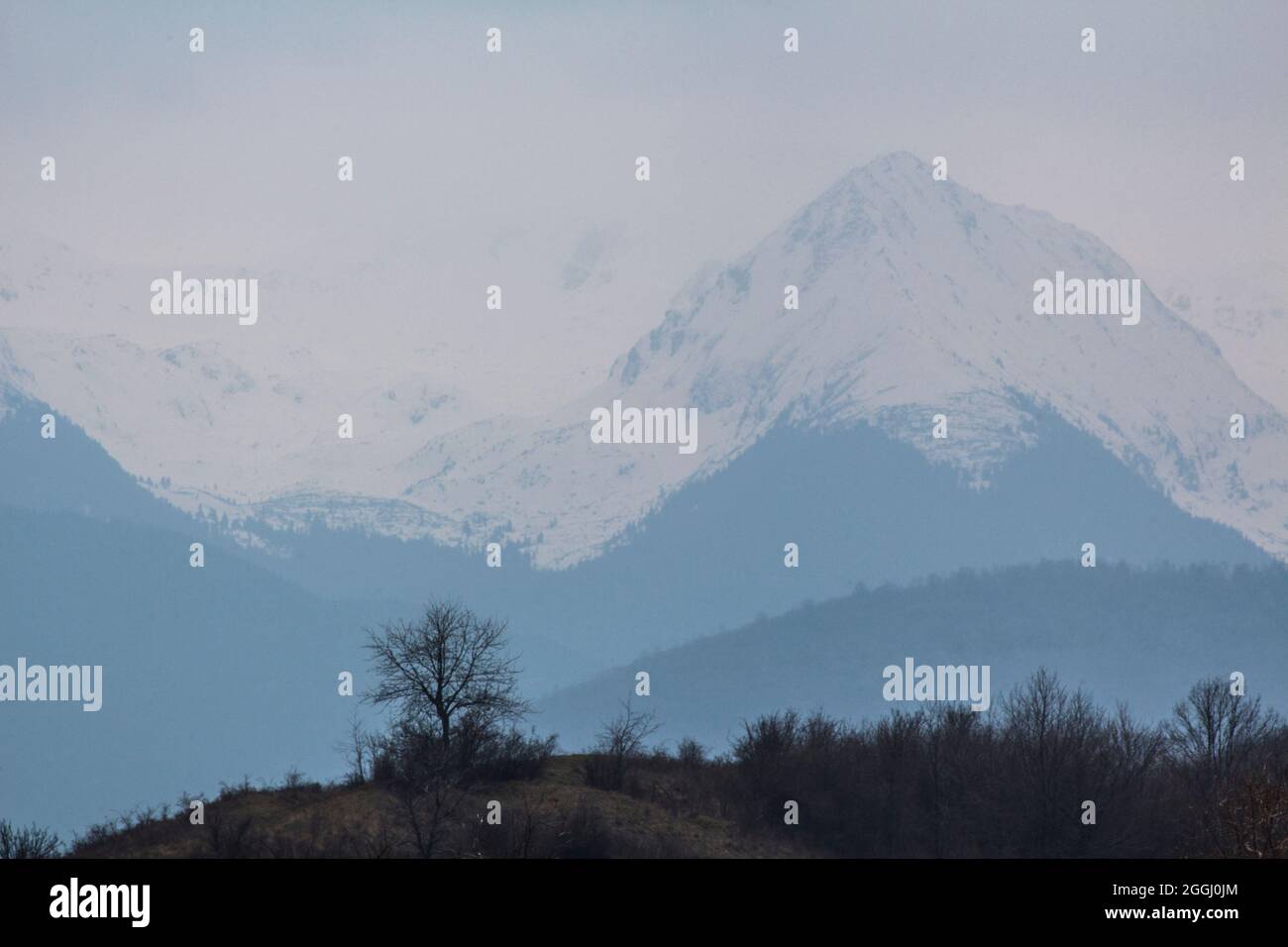 Die verschneite Karpaten-Bergkette, die in der Ferne durch dünnen Nebel gesehen wird. Stockfoto