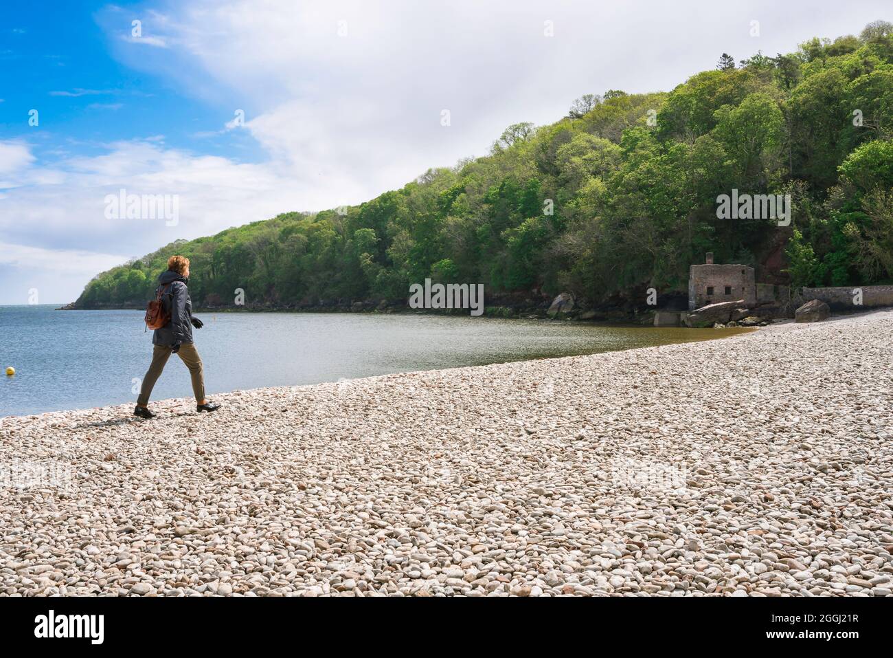 Frau beim Gehen, Blick auf eine Frau, die alleine über den Strand in Elberry Cove, South West Coast Path, South Devon, England, Großbritannien, geht Stockfoto