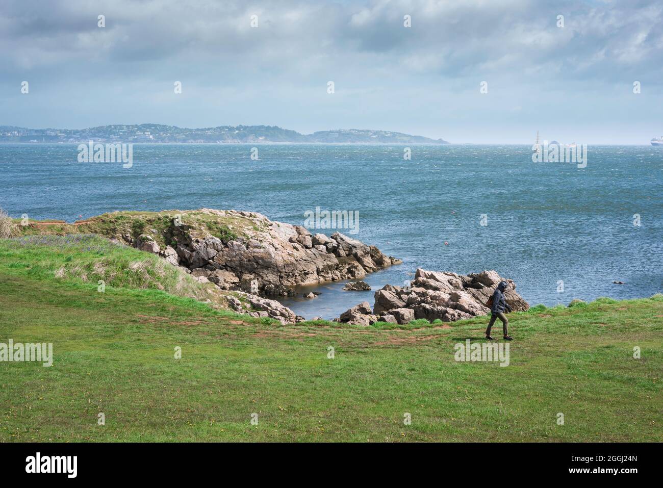 Frau, die alleine geht, Blick auf eine Frau, die einen Rucksack trägt und auf dem South West Coast Path zwischen Broadsands Beach und Elberry Cove, South Devon, Großbritannien, läuft Stockfoto