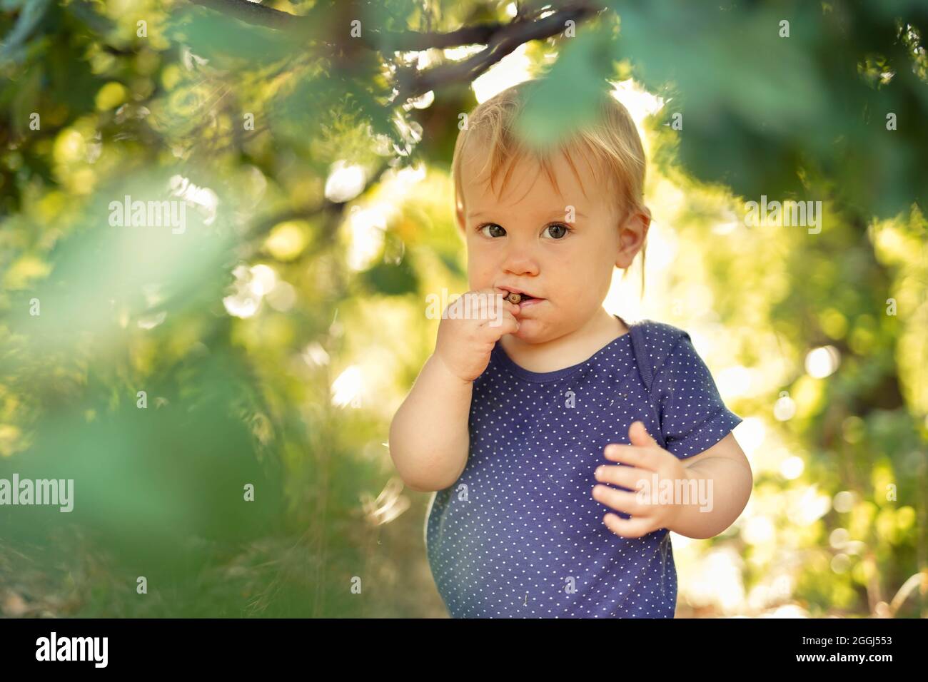 Kleines Kind, das im Wald Eichel isst Stockfoto