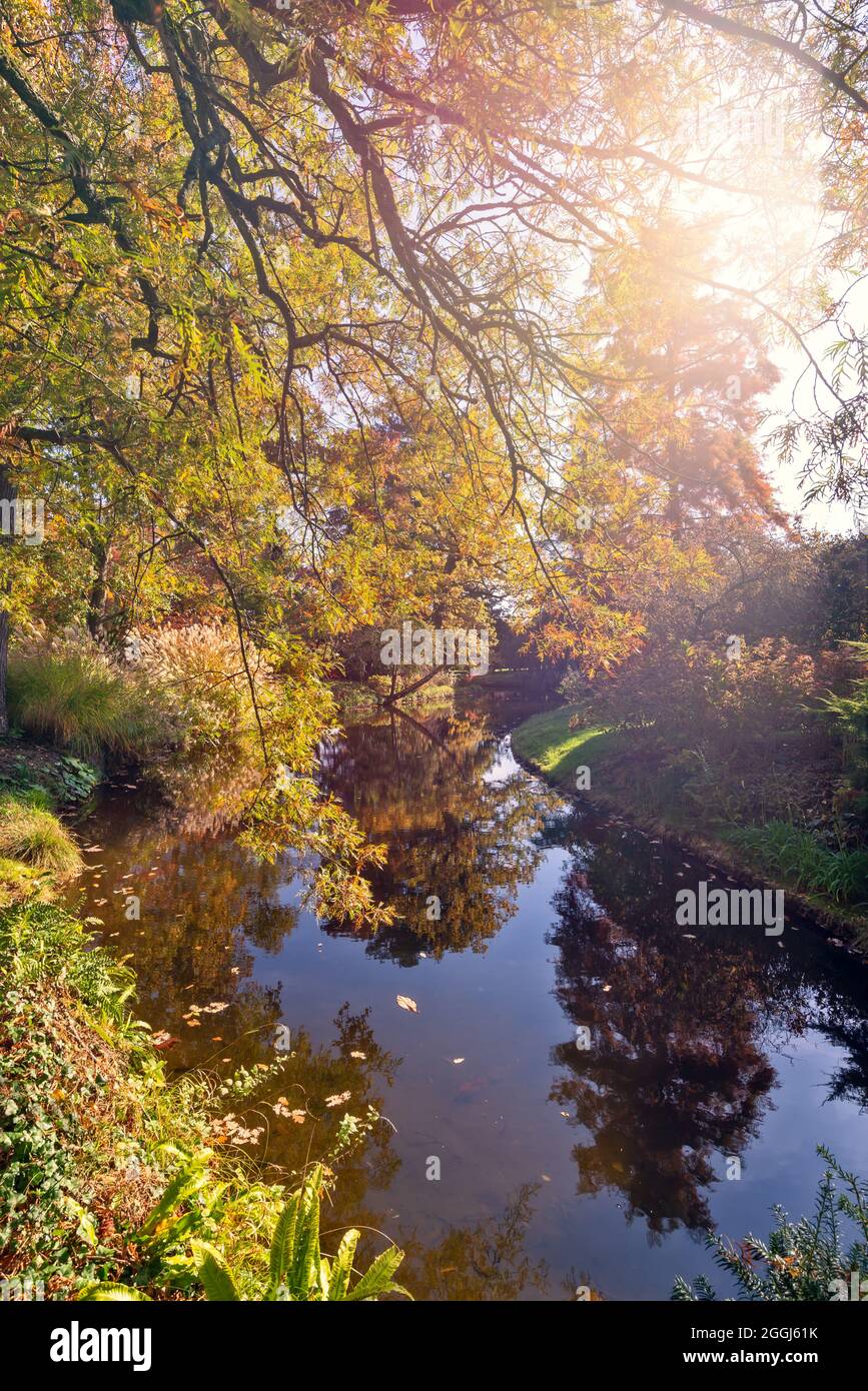 Herbstlaub in Frankreich. Herbstliche Farben Landschaft, Reflexionen in einem Teich Stockfoto