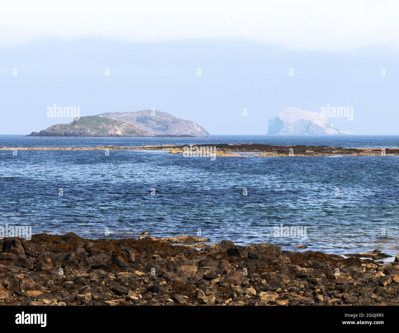 Küstenlandschaft Schottlands - Craigleith Island und Bass Rock Islands vom Yellowcraig Beach, Firth of Forth, Edinburgh Schottland UK aus gesehen Stockfoto