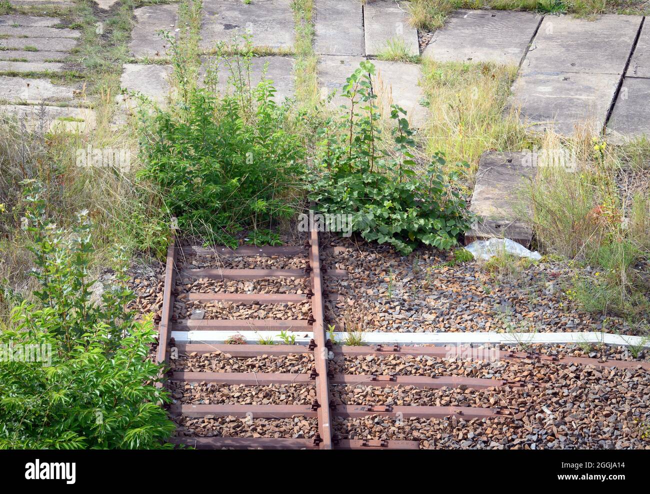 Cottbus, Deutschland. September 2021. Eine rostige Strecke endet auf dem Gelände des Hauptbahnhofs kurz vor einem betonierten Bereich. Neben dem Streik im Personenverkehr hat die Deutsche Lokführerunion (GDL) einen mehr als fünftägigen Streik im Schienengüterverkehr gefordert. Die Deutsche Bahn plant, während des GDL-Streiks rund ein Viertel des normalen Fahrplans im Fernverkehr in ganz Deutschland anzubieten. Quelle: Soeren Stache/dpa-Zentralbild/ZB/dpa/Alamy Live News Stockfoto